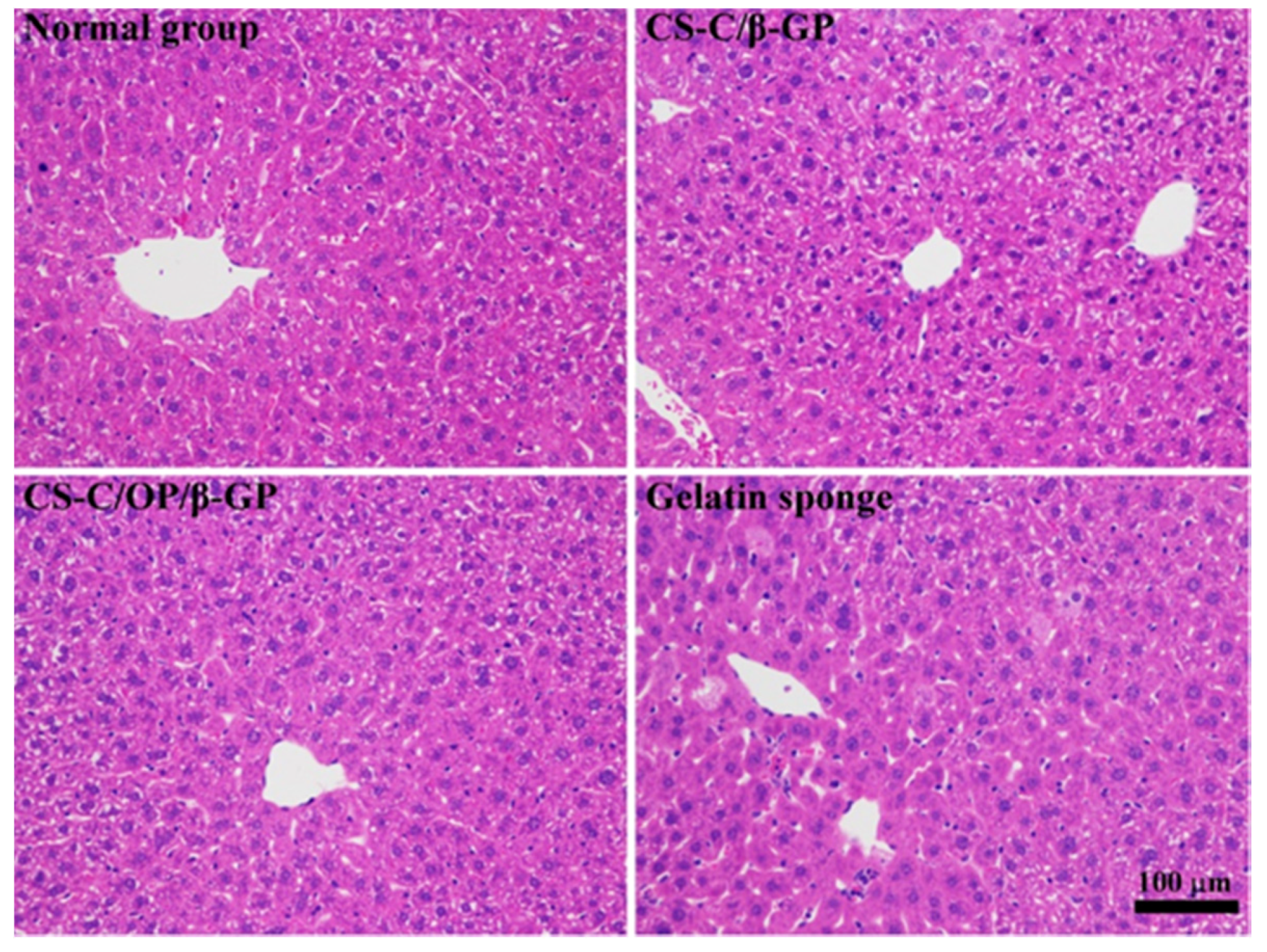 Materials 13 05038 g005 Materials 13 05038 g005