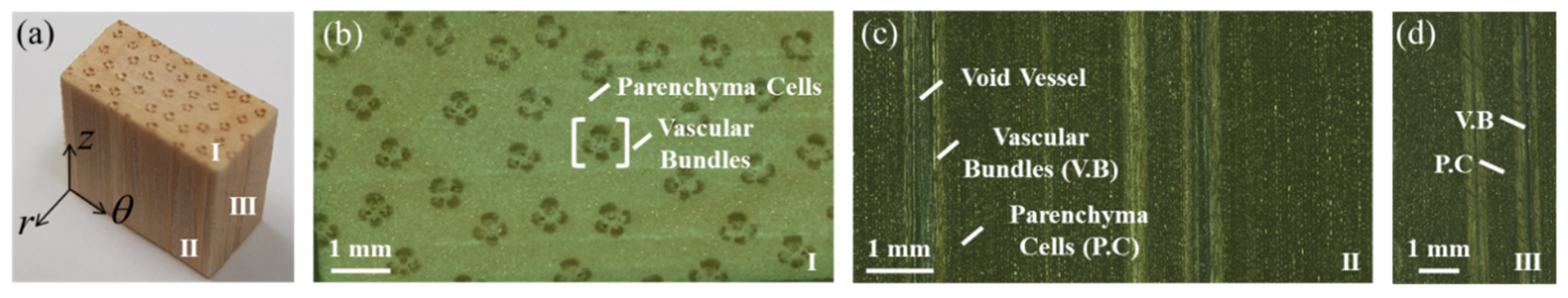 Materials 13 05039 g001