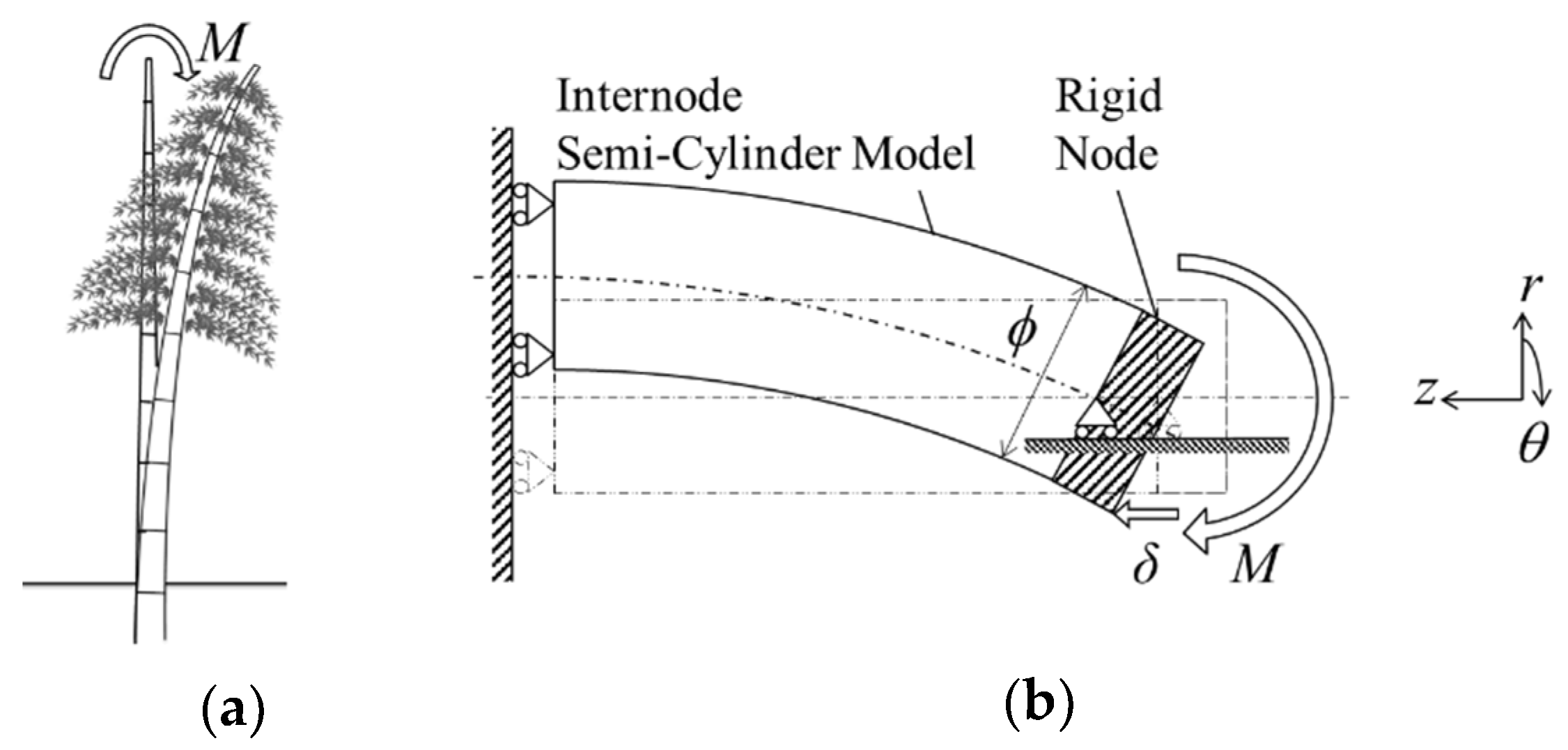 Materials 13 05039 g005