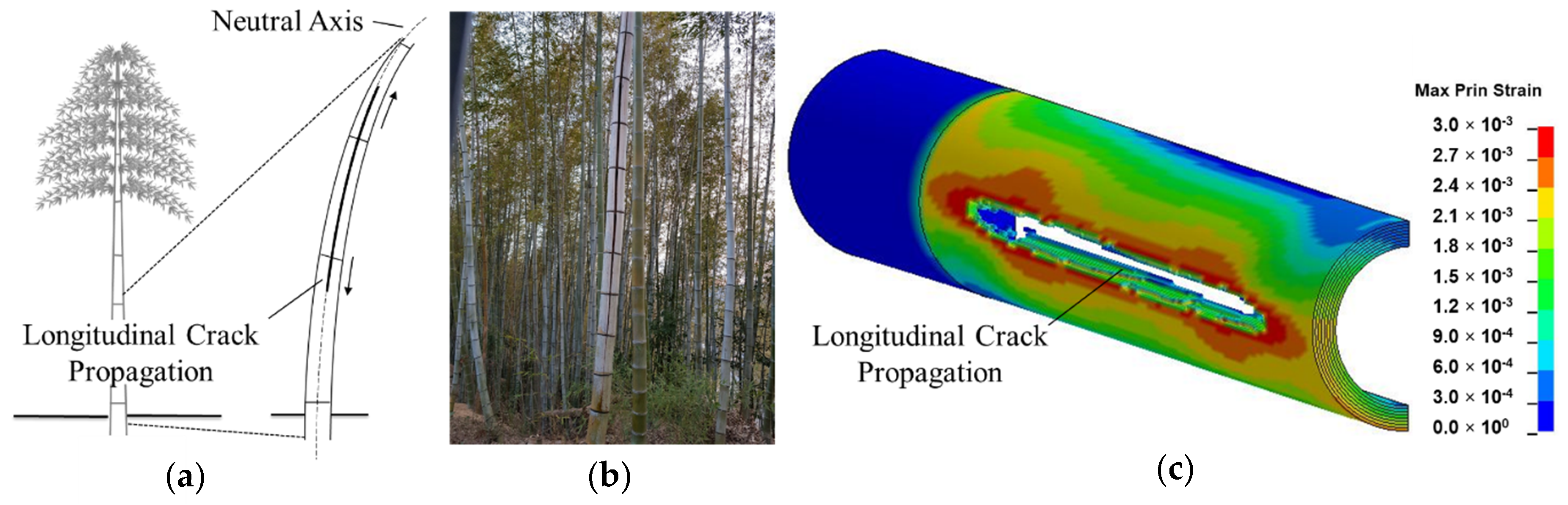 Materials 13 05039 g015