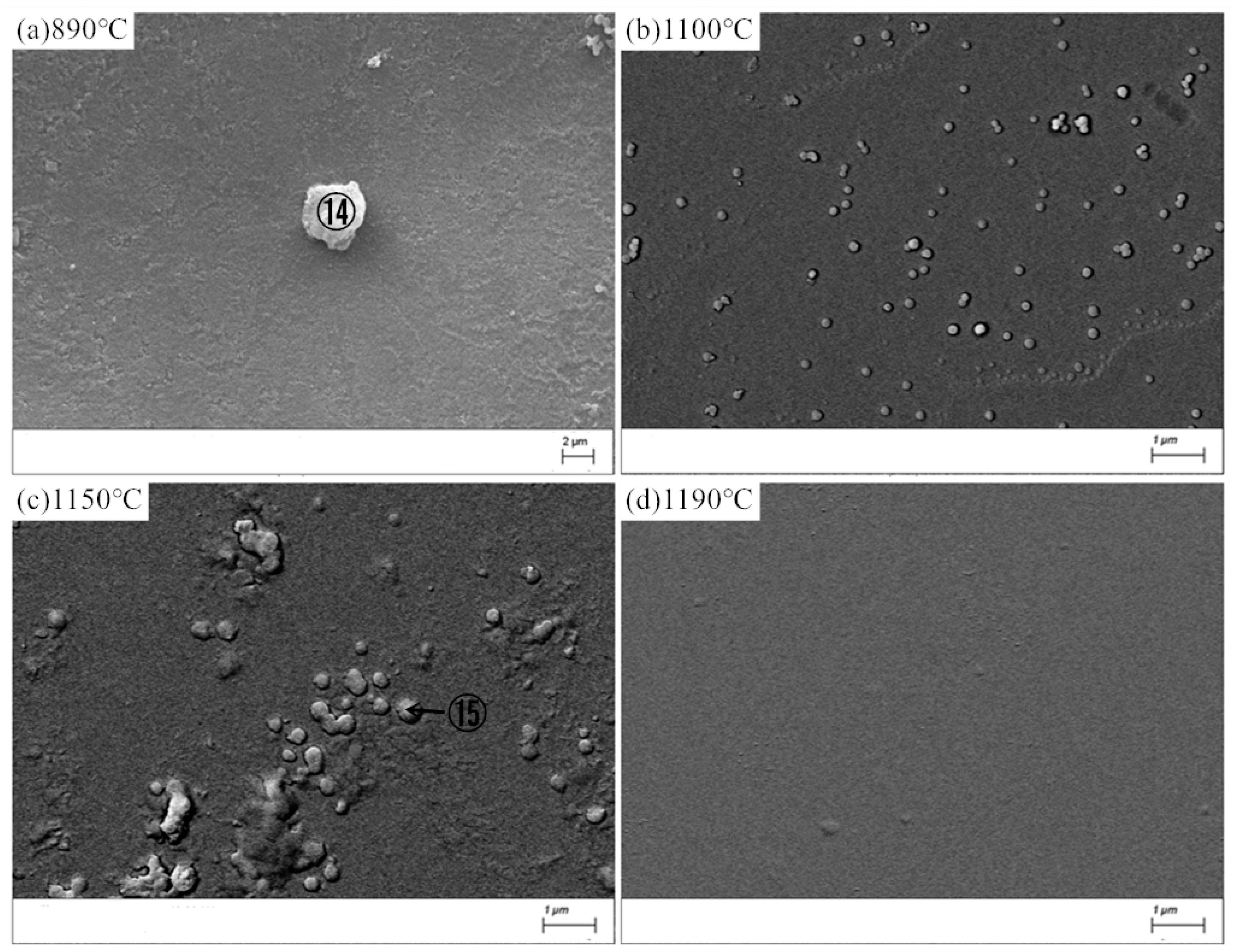 Materials 13 05043 g008