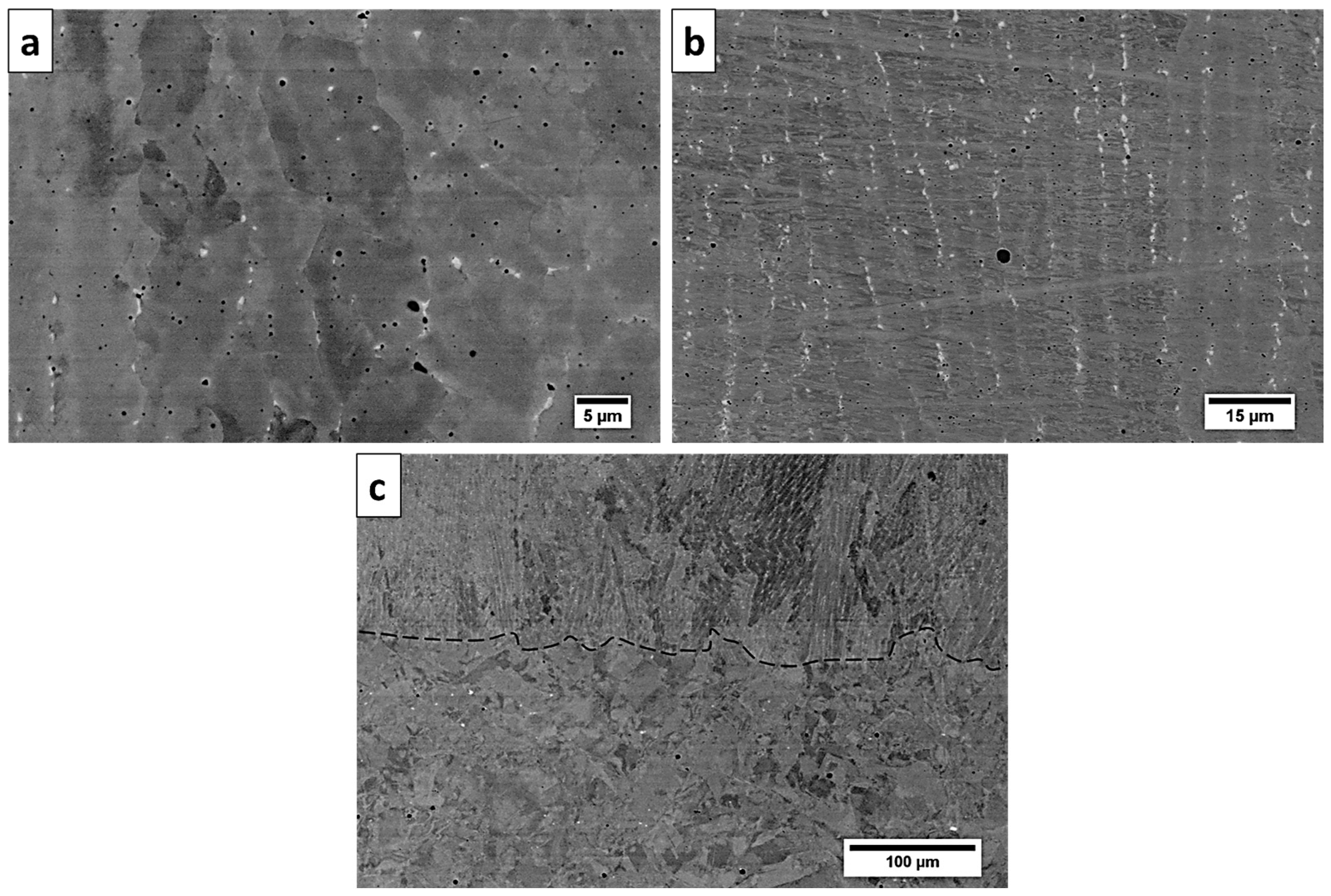 Materials 13 05050 g003