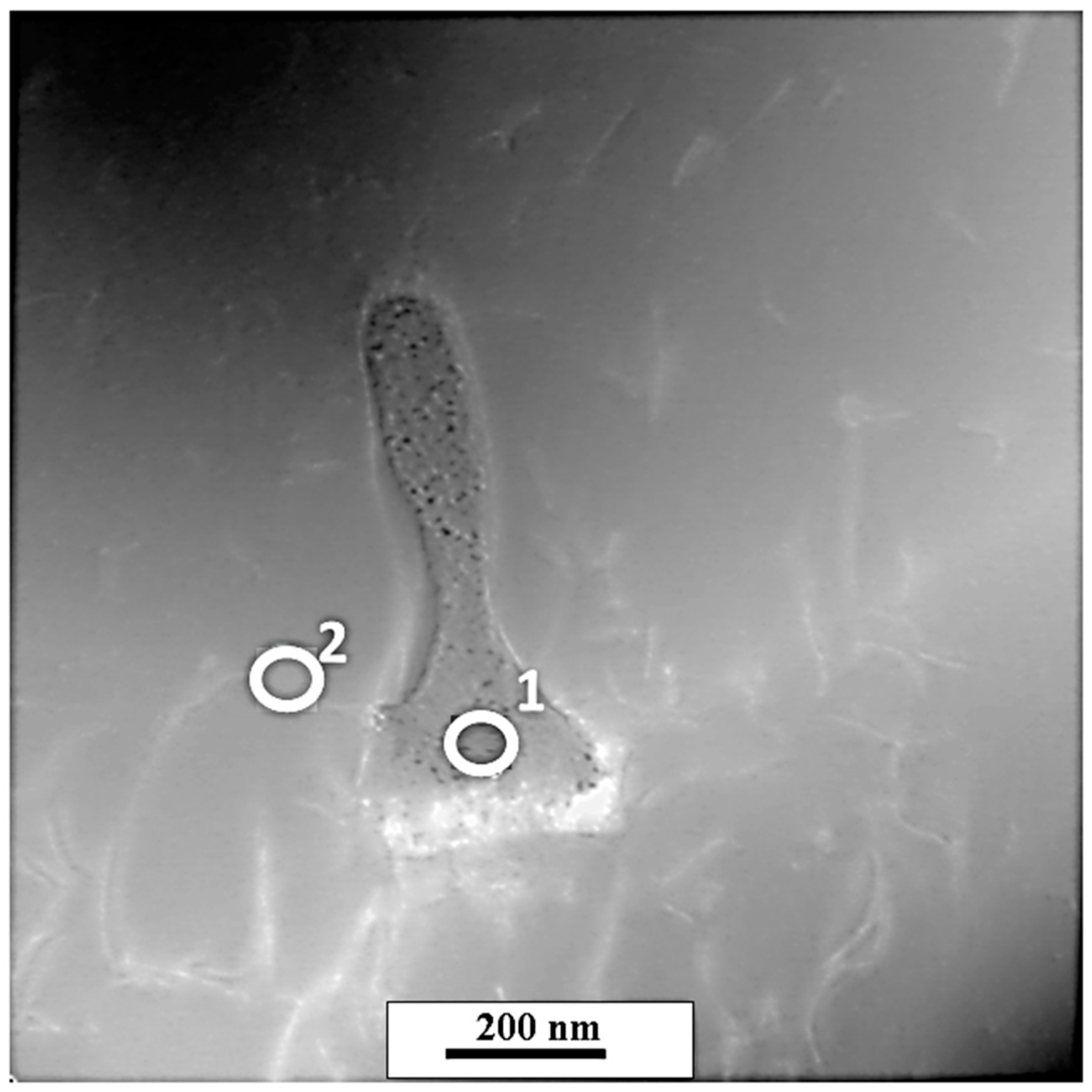 Materials 13 05050 g007