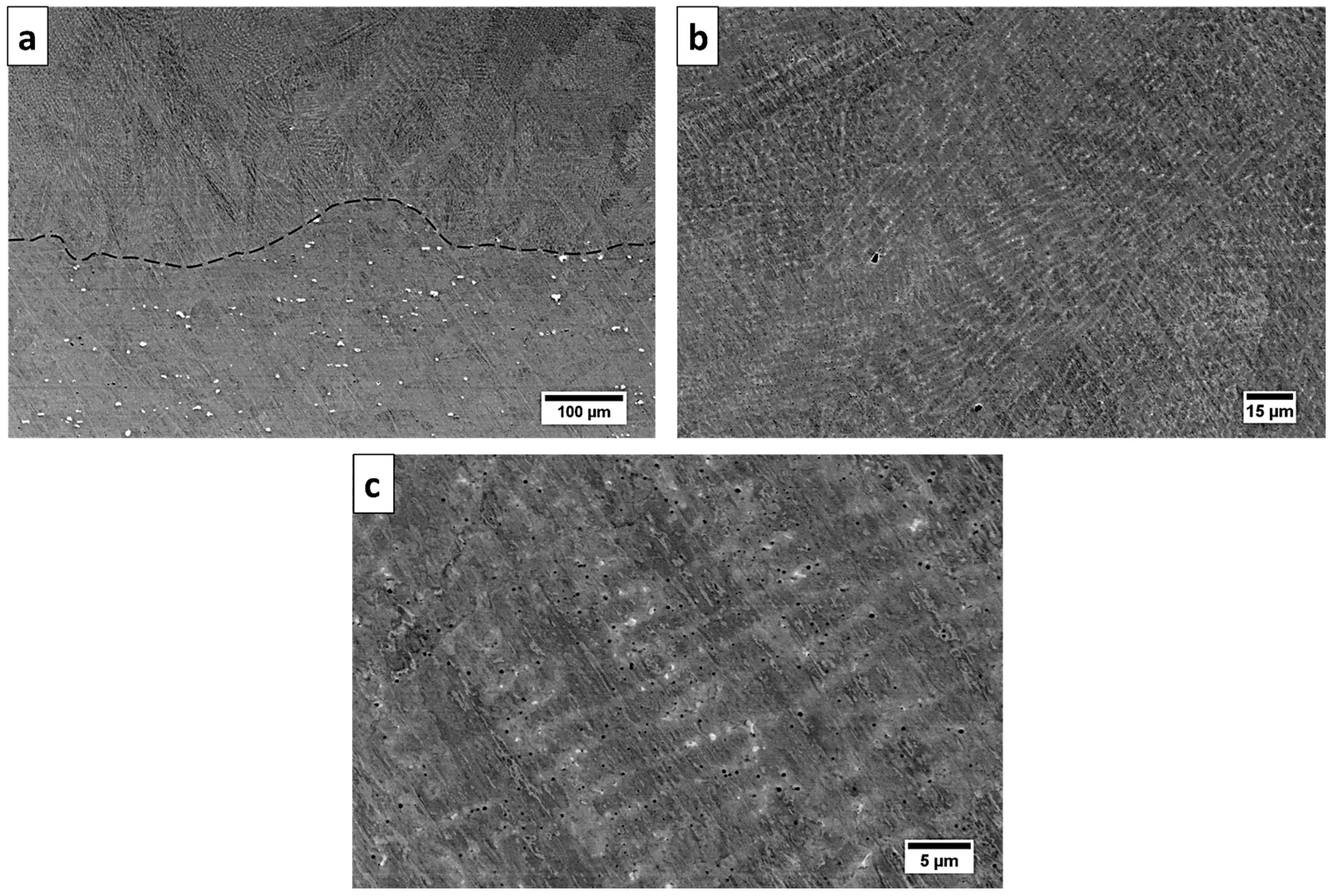 Materials 13 05050 g008