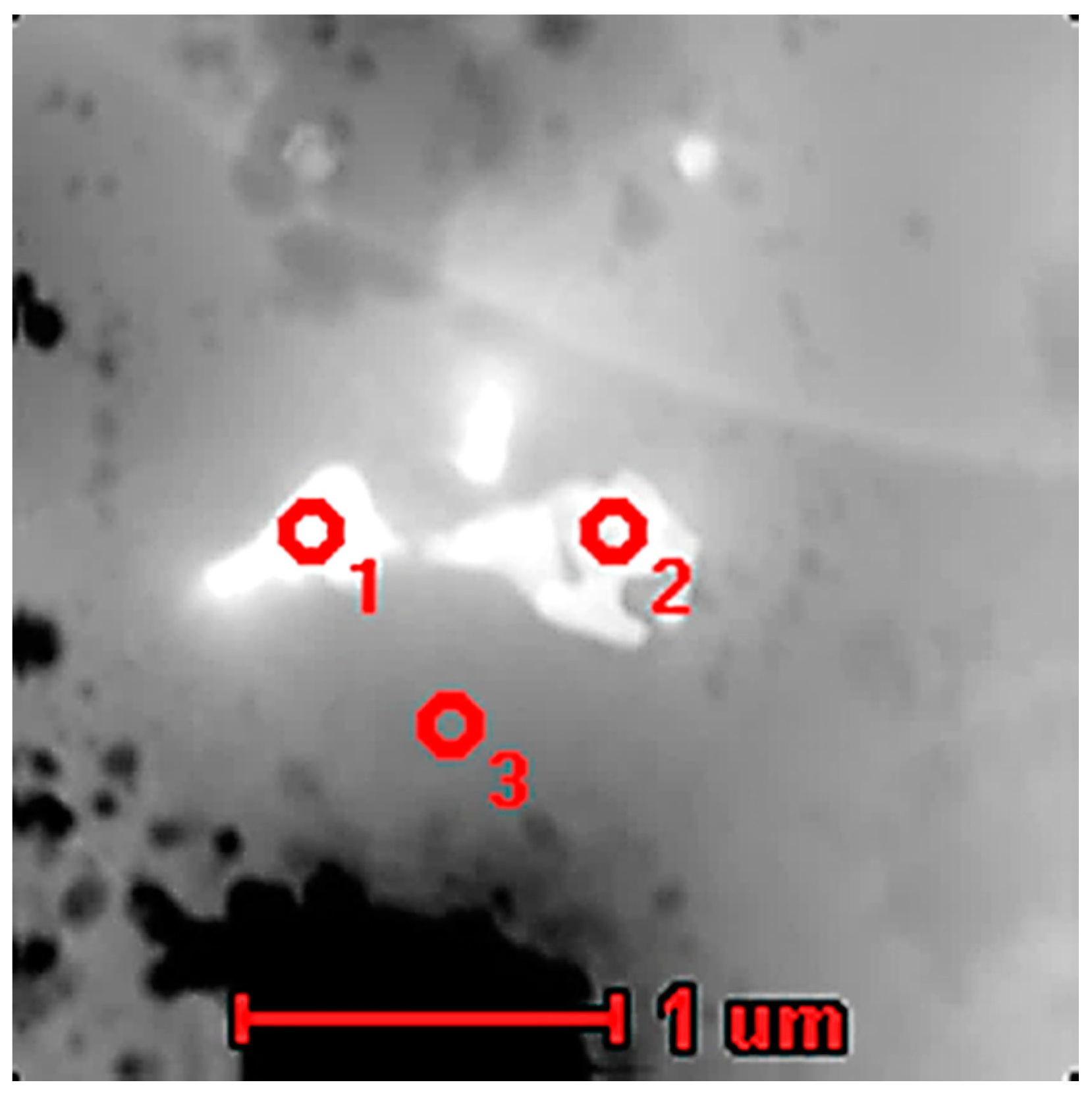 Materials 13 05050 g012