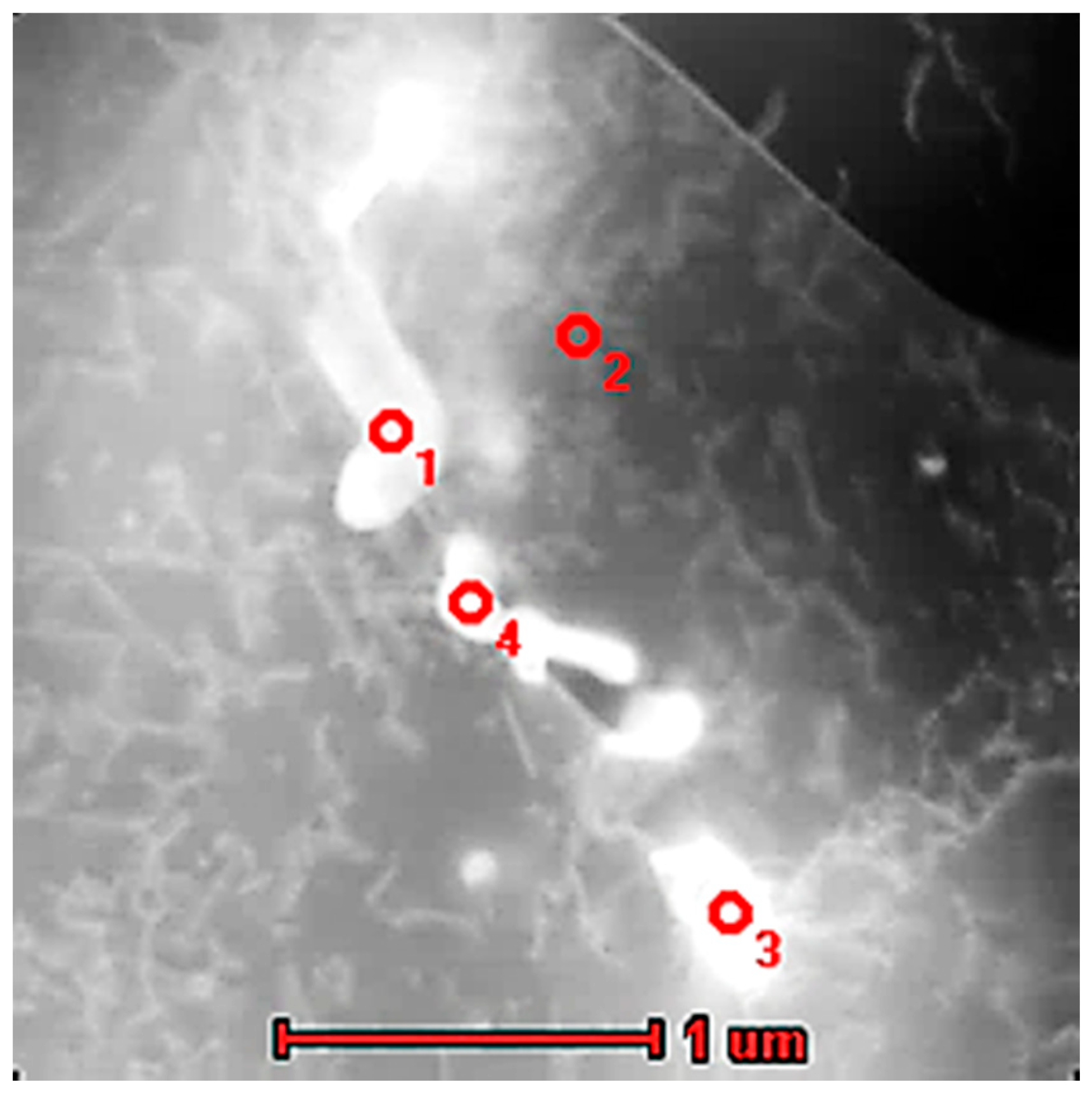 Materials 13 05050 g013