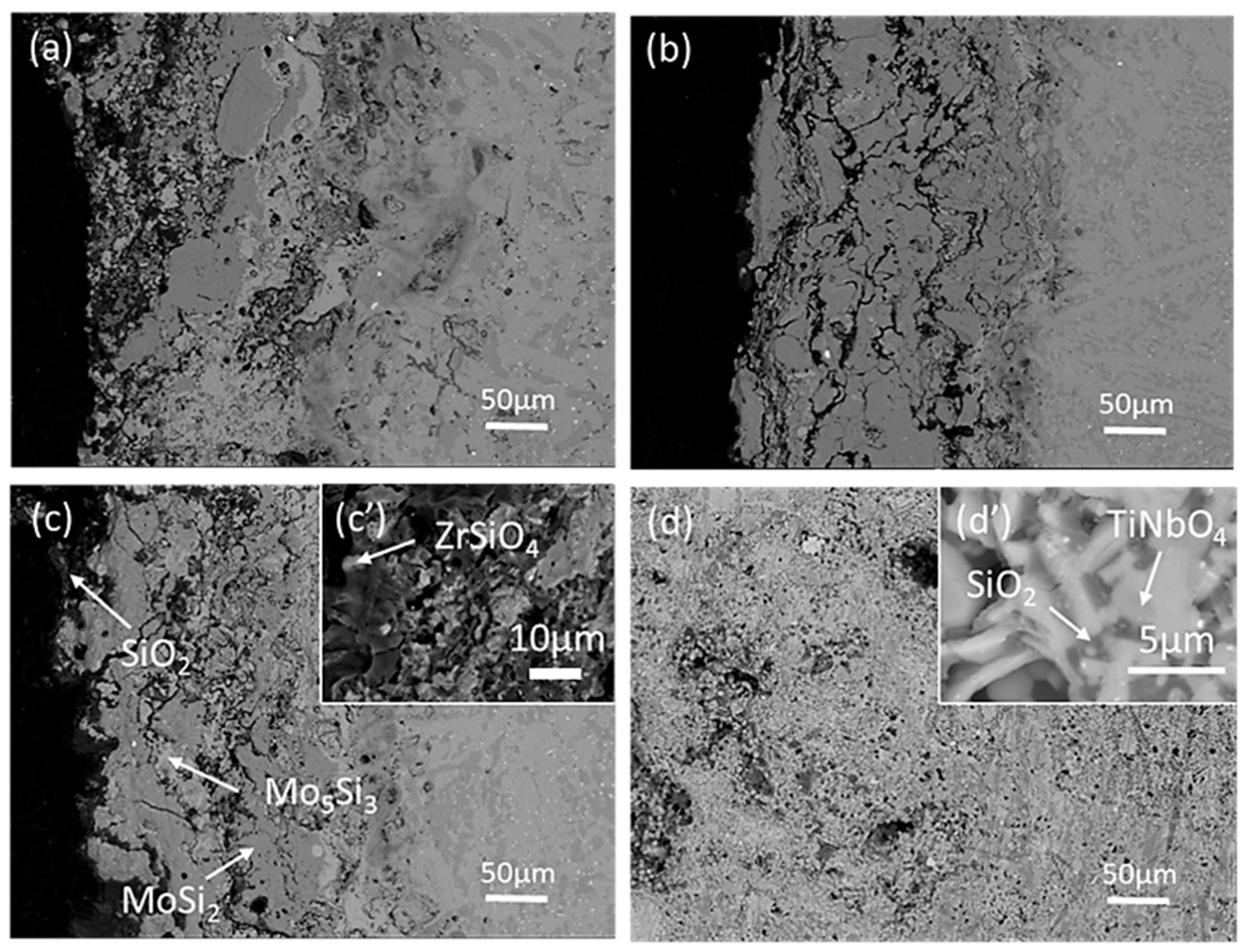 Materials 13 05060 g008