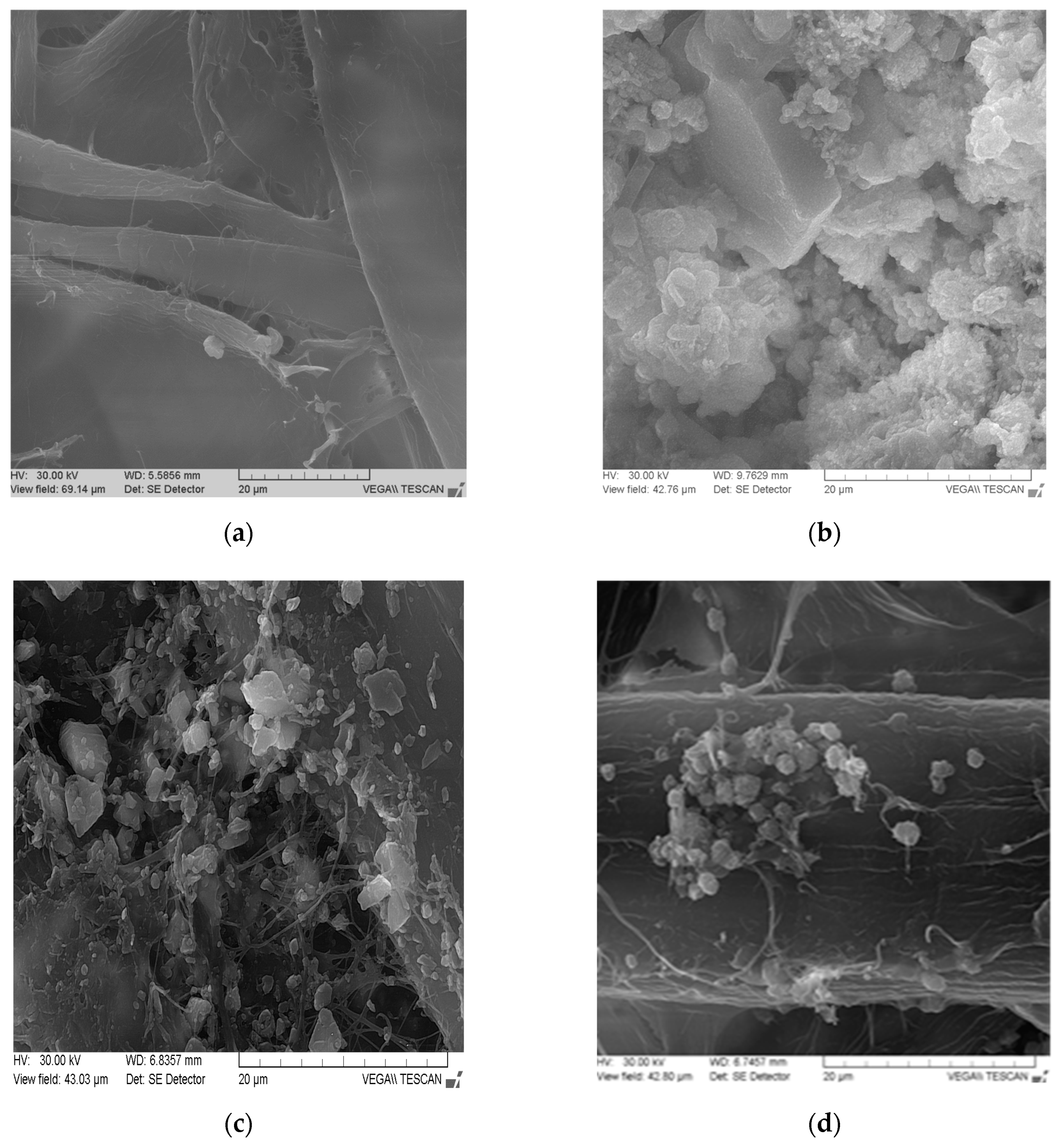 Materials 13 05066 g002 Materials 13 05066 g002