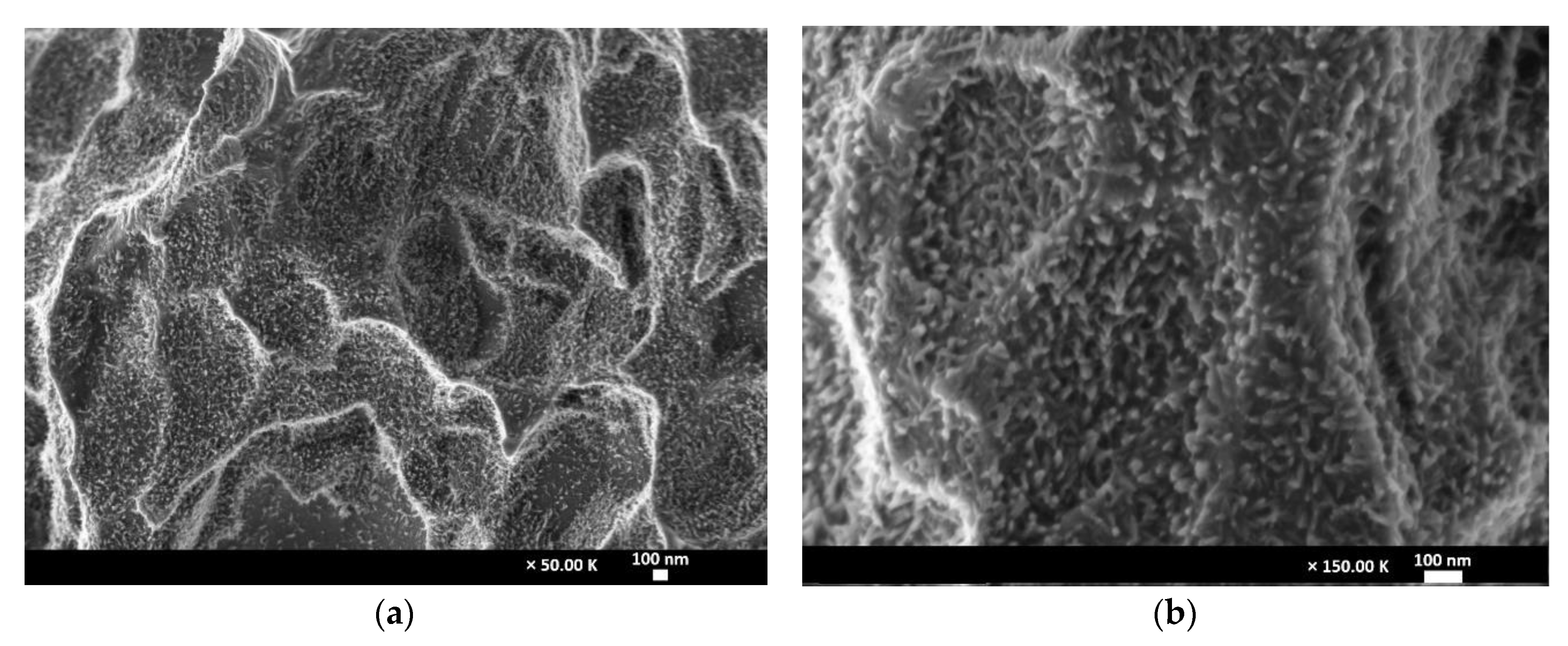 Materials 13 05074 g005