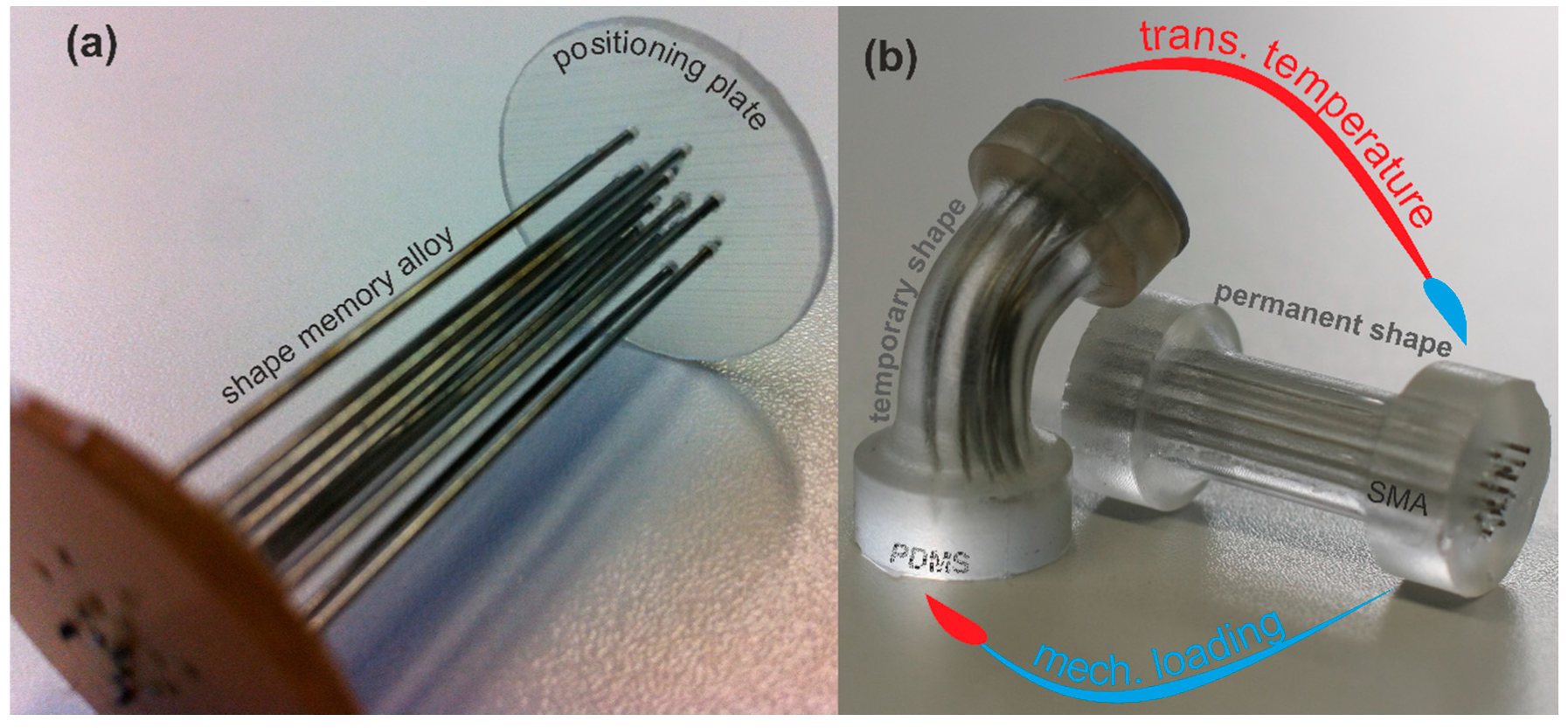Materials 13 05076 g001 Materials 13 05076 g001