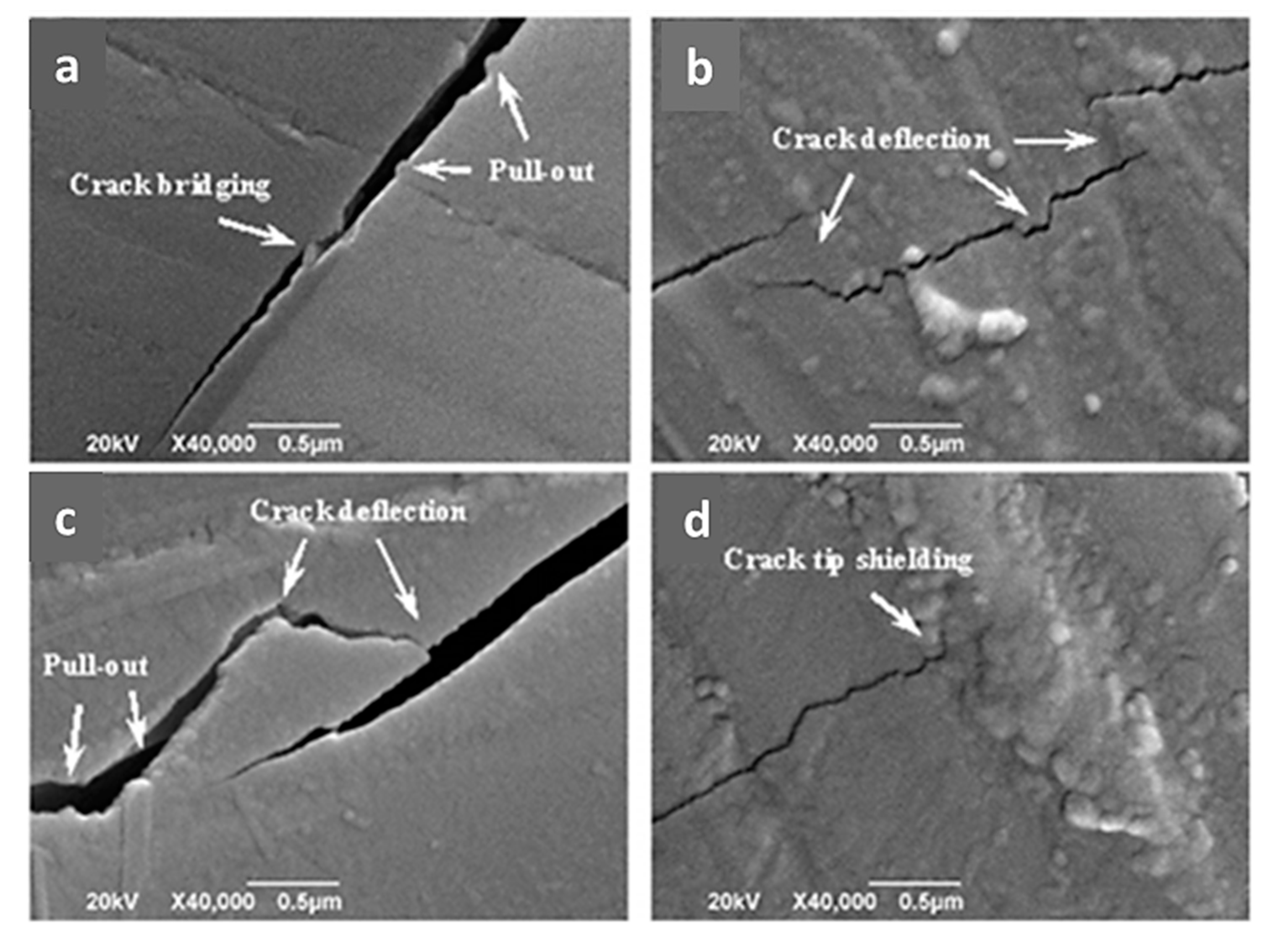 Materials 13 05083 g002