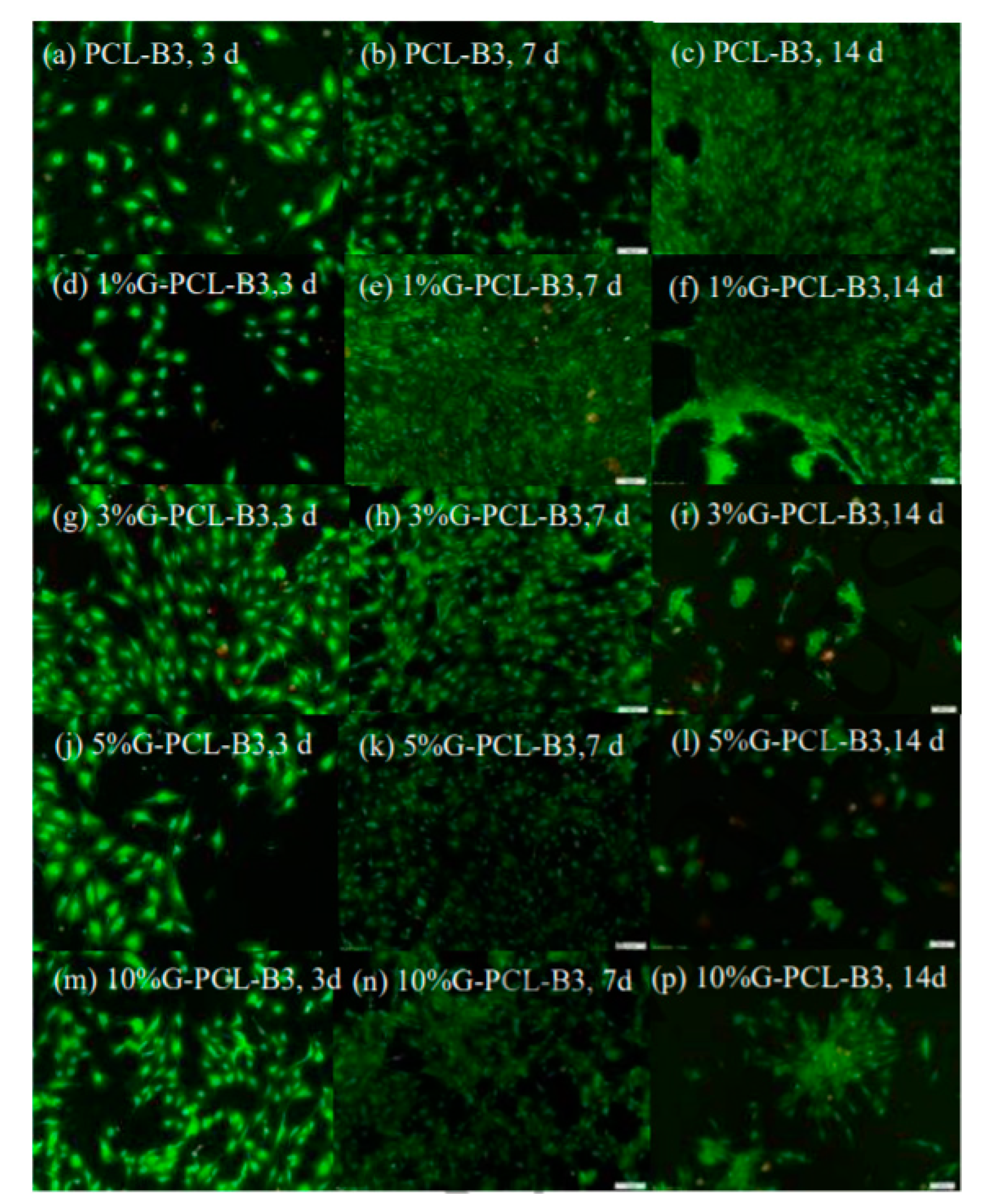 Materials 13 05083 g004