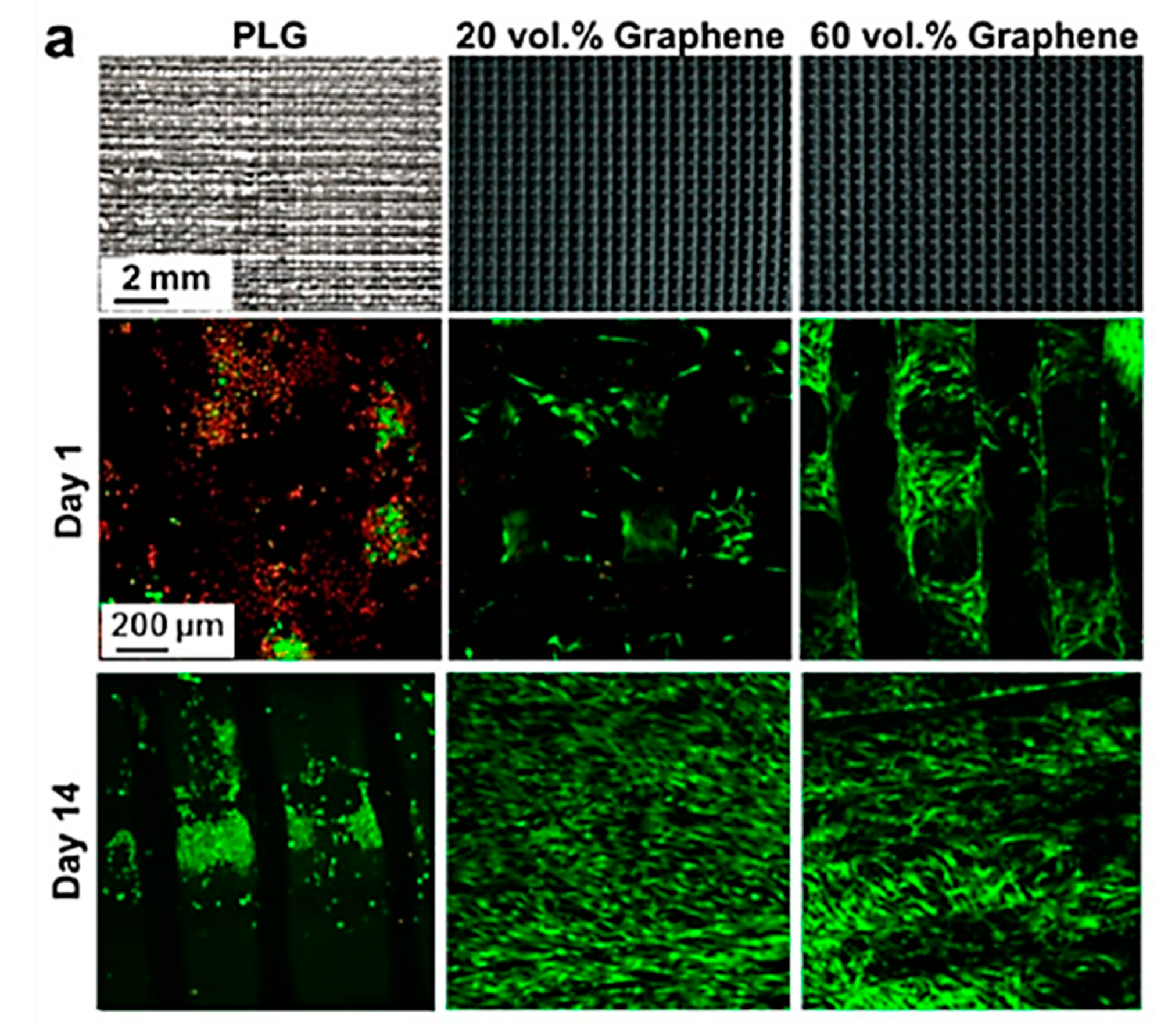 Materials 13 05083 g008