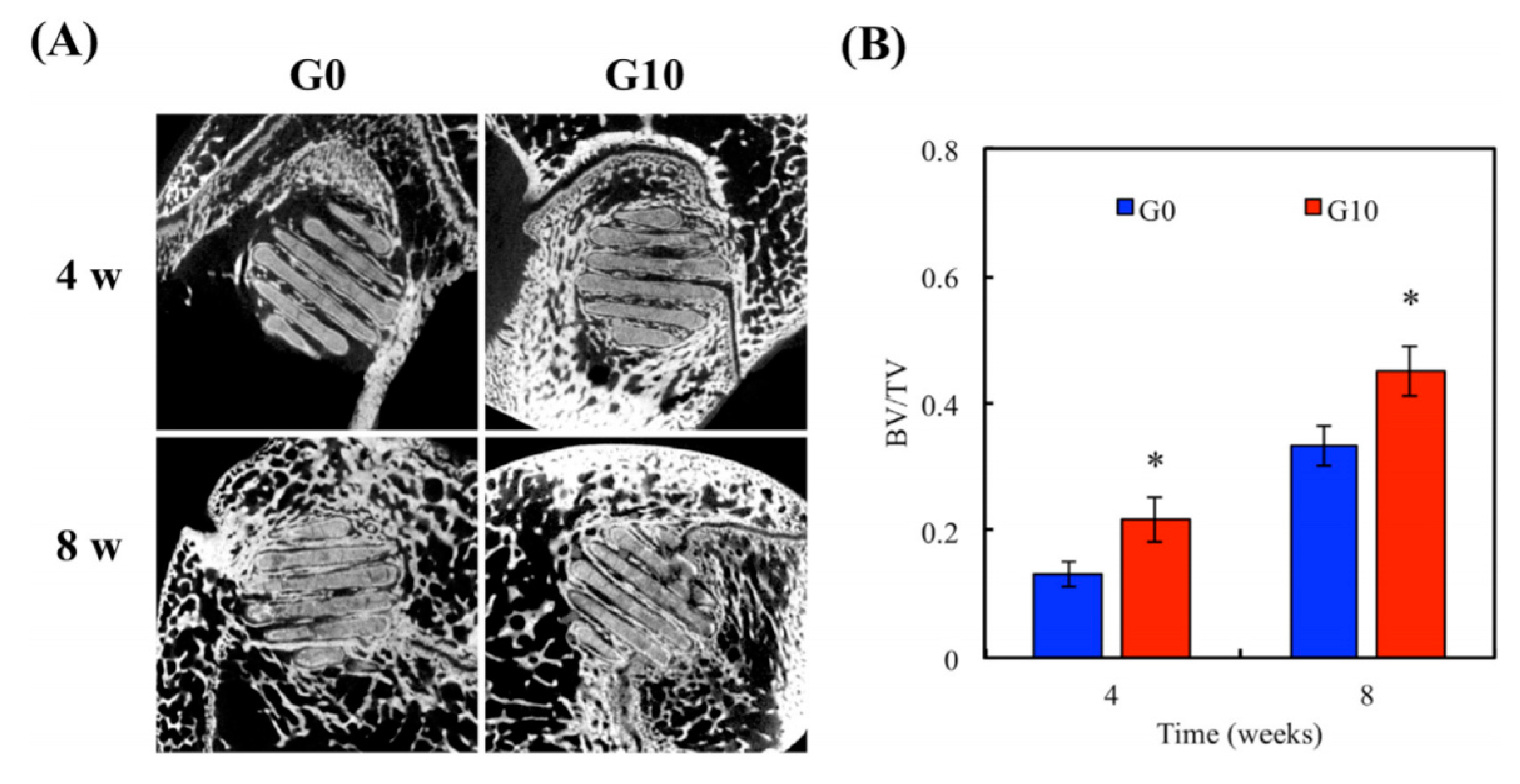 Materials 13 05083 g011