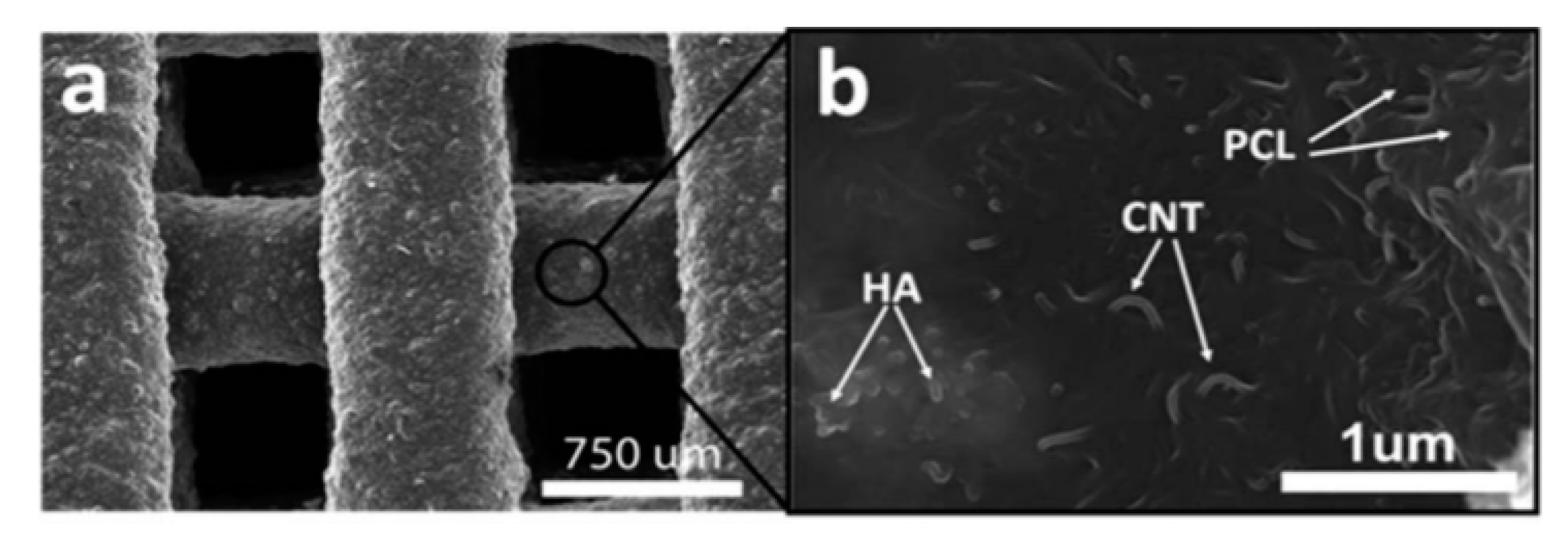Materials 13 05083 g013