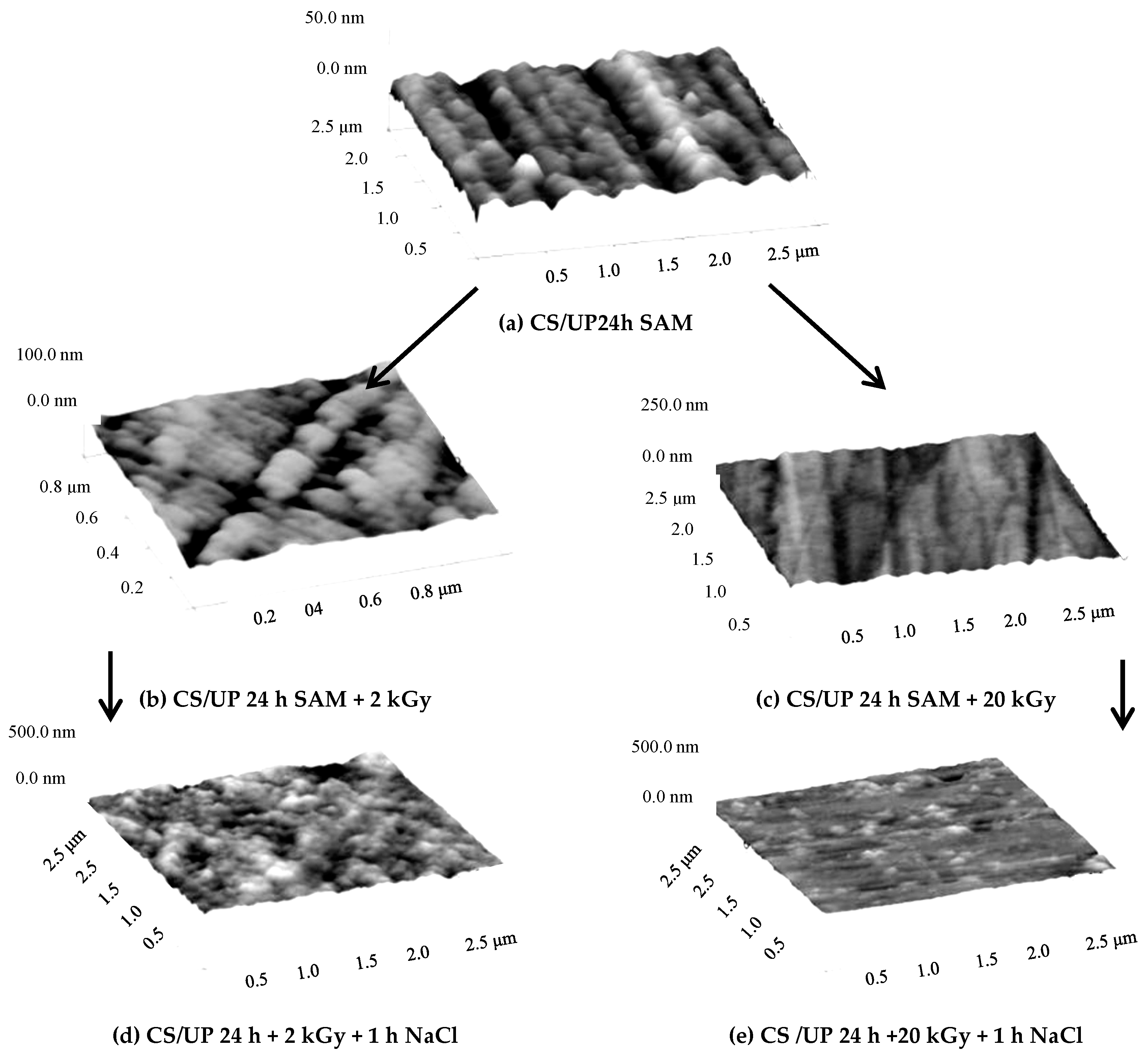Materials 13 05089 g002