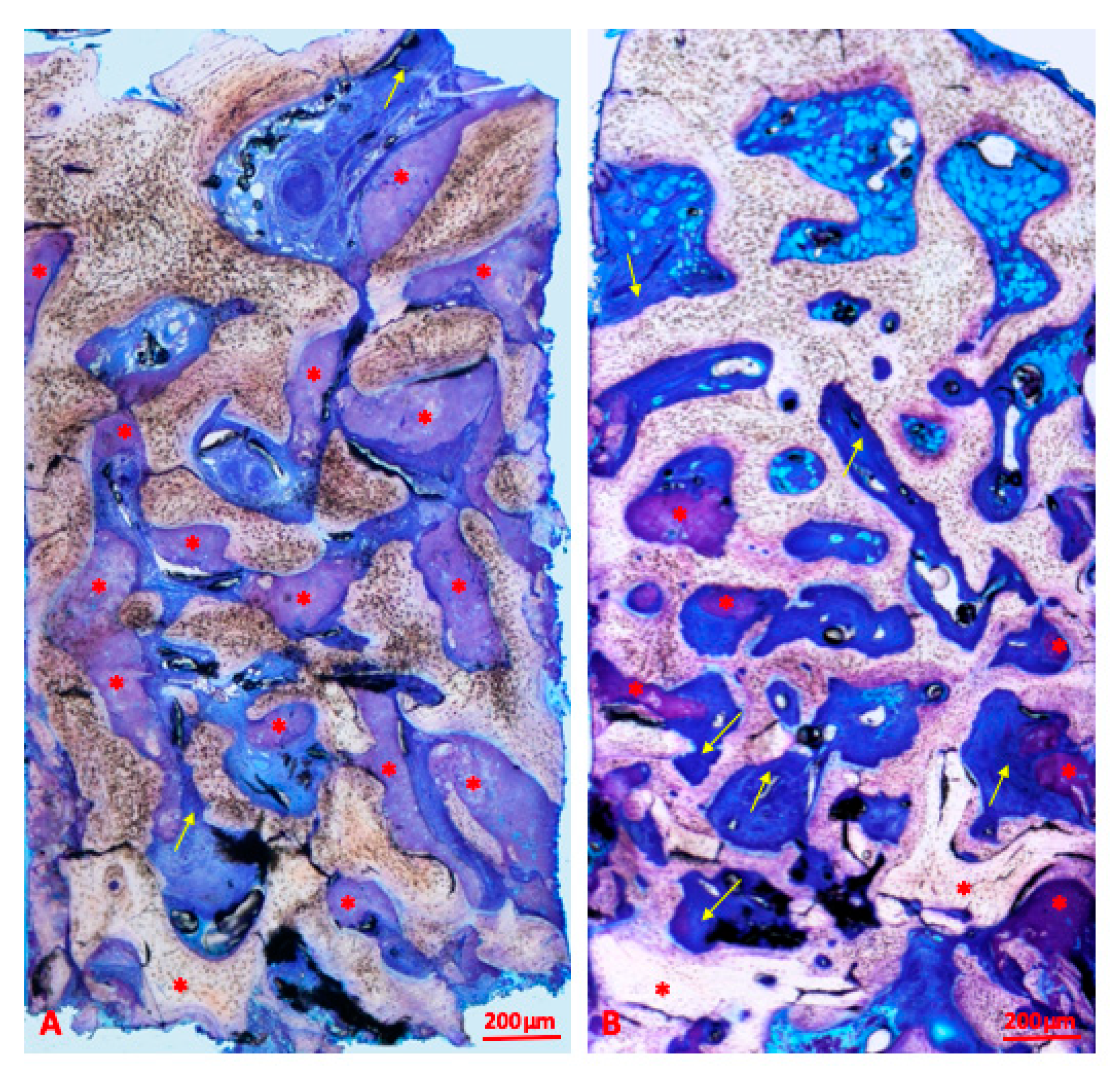 Materials 13 05093 g004