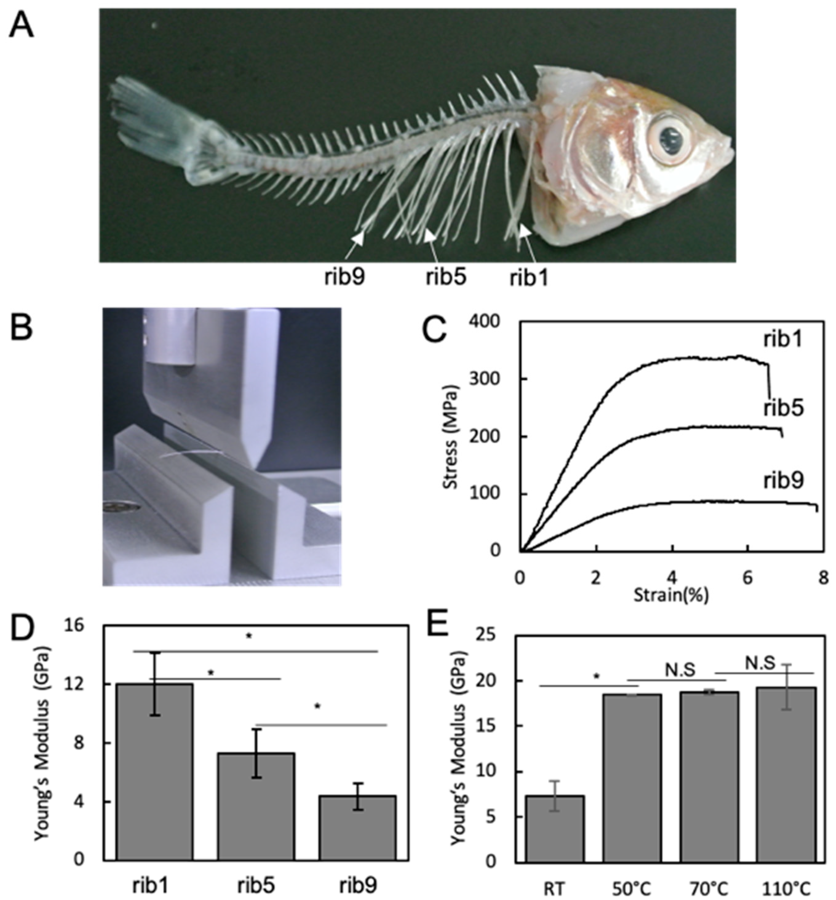 Materials 13 05099 g001 Materials 13 05099 g001