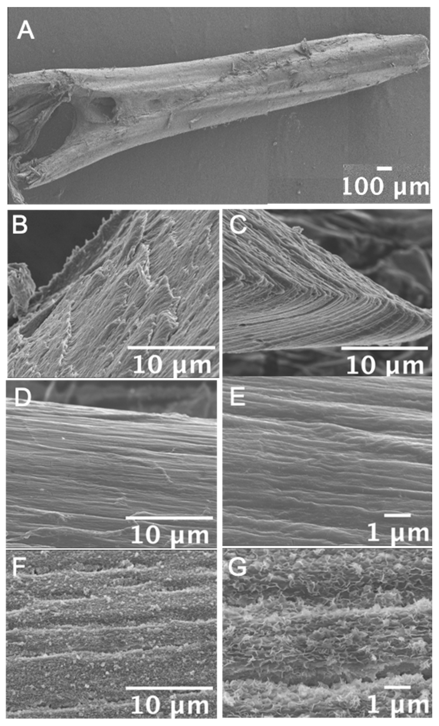 Materials 13 05099 g003 Materials 13 05099 g003