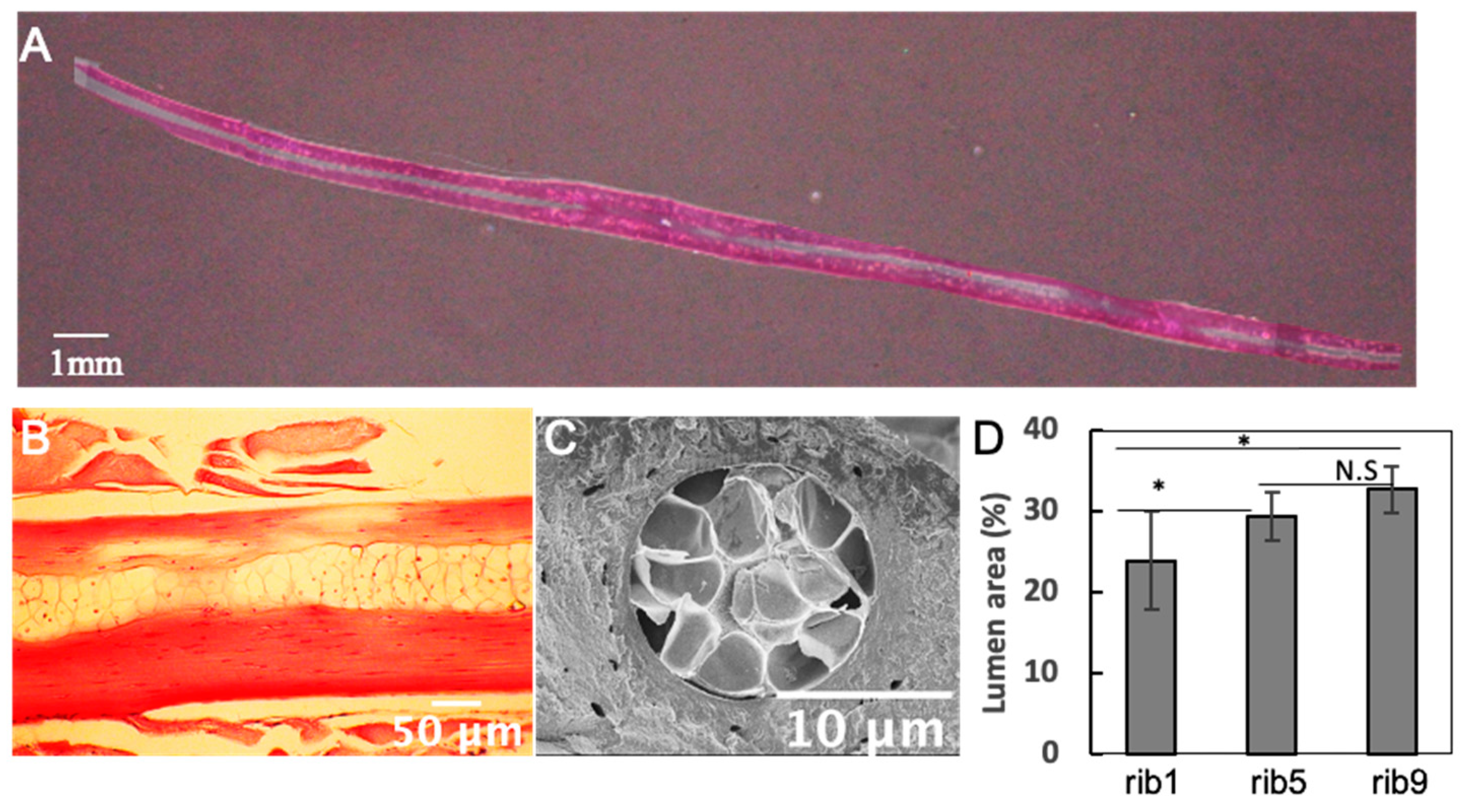 Materials 13 05099 g004 Materials 13 05099 g004