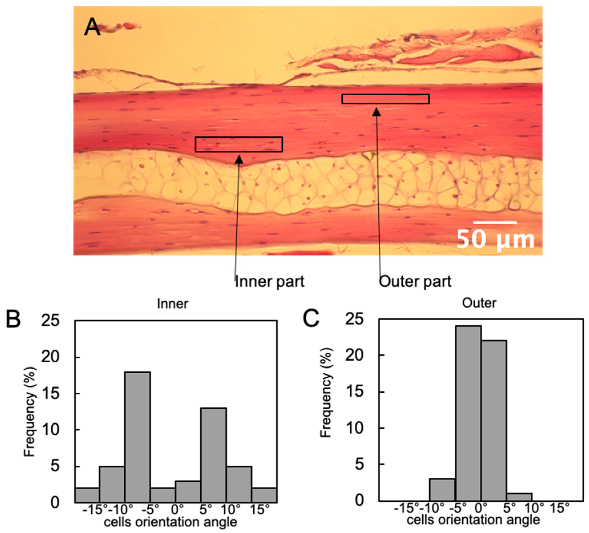 Materials 13 05099 g005 Materials 13 05099 g005