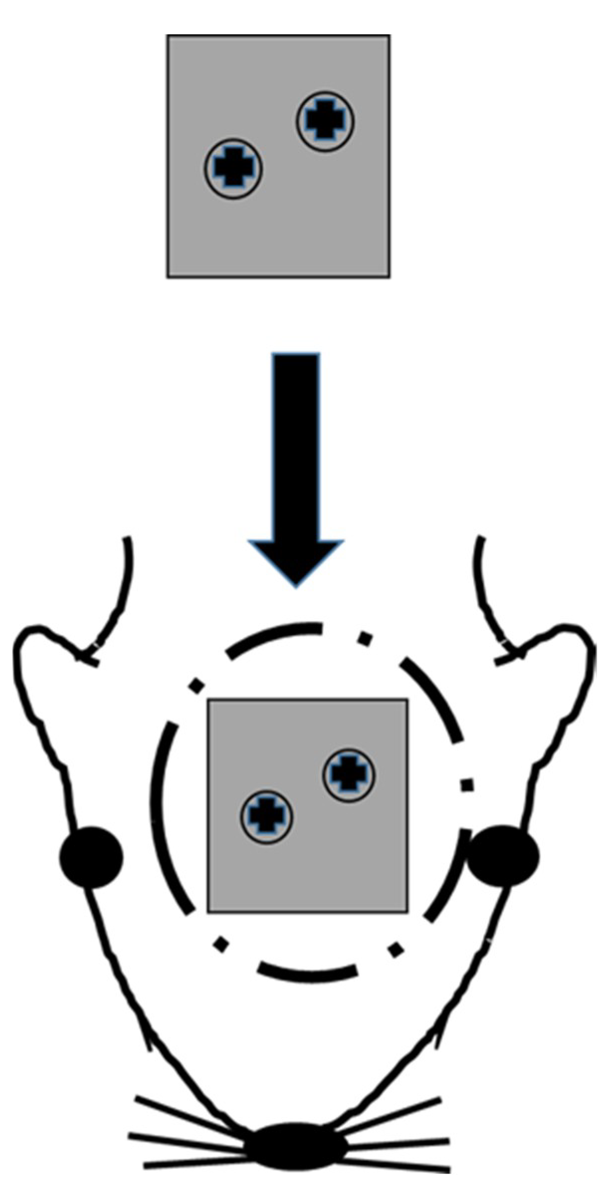 Materials 13 05104 g002