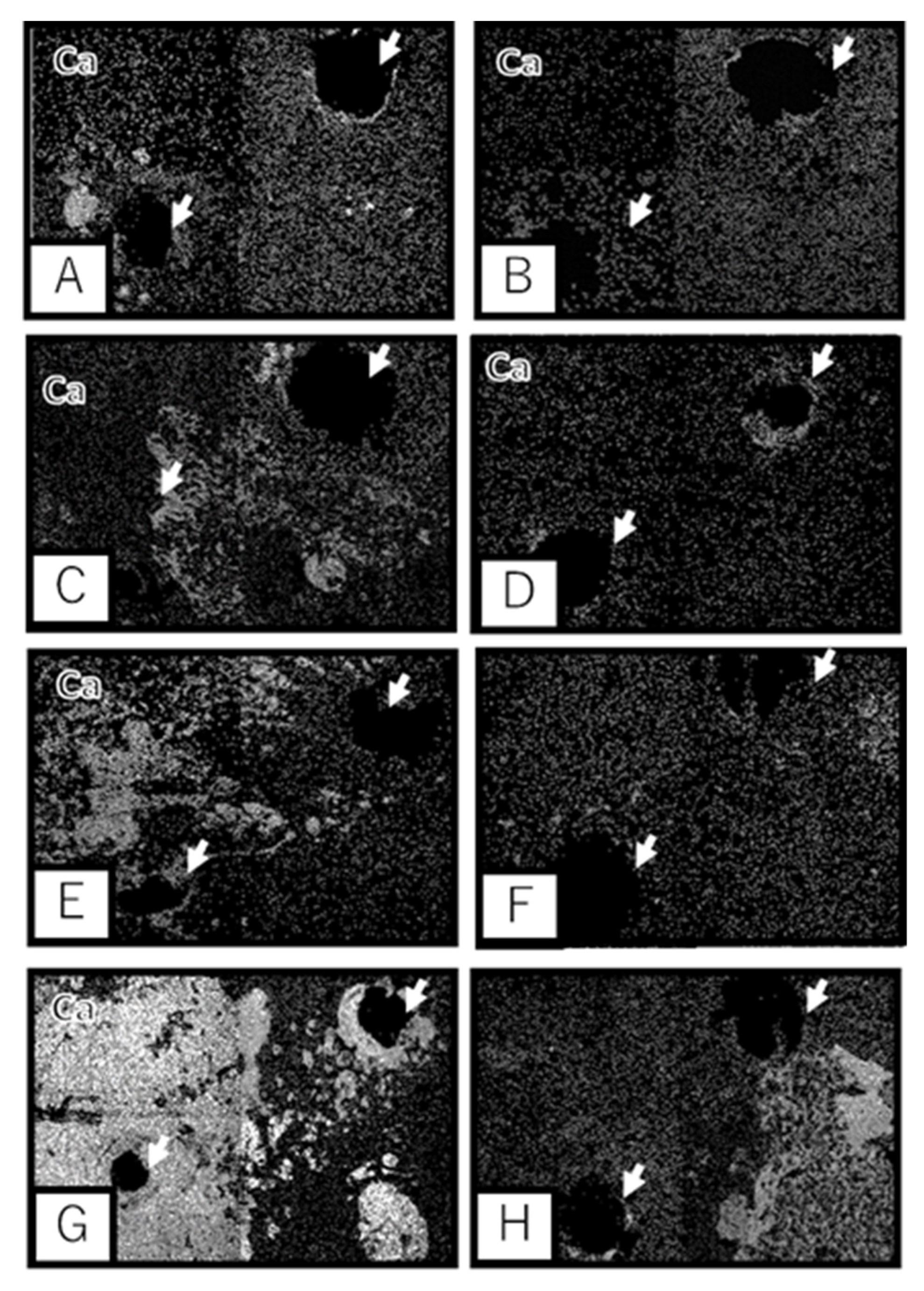 Materials 13 05104 g006