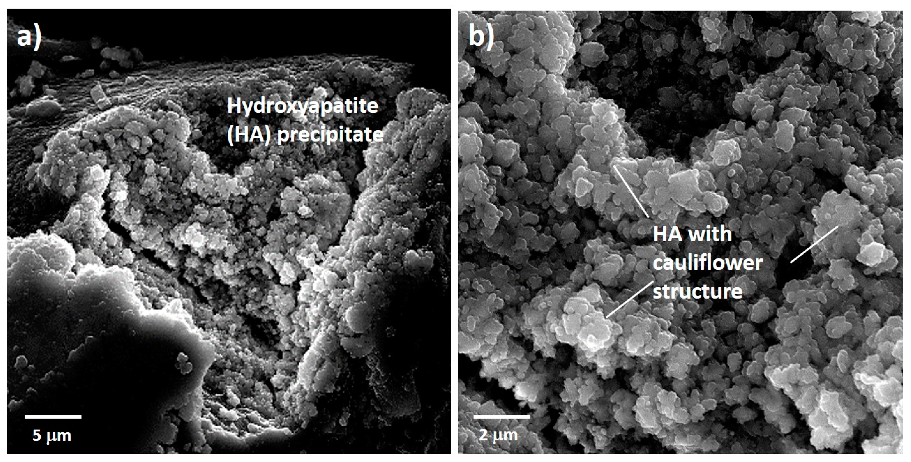 Materials 13 05115 g007