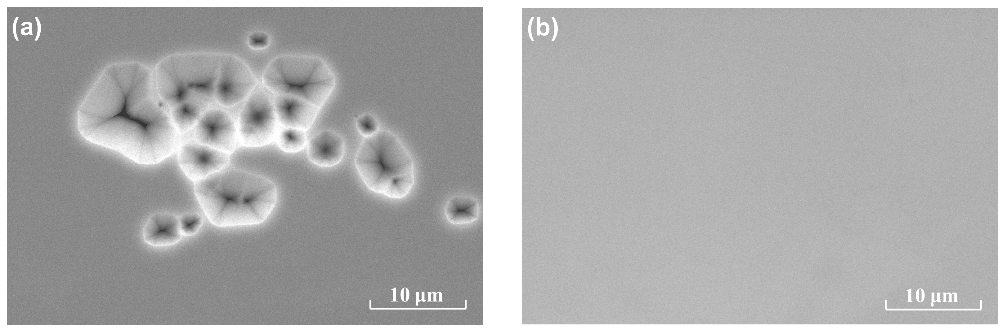 Materials 13 05118 g002