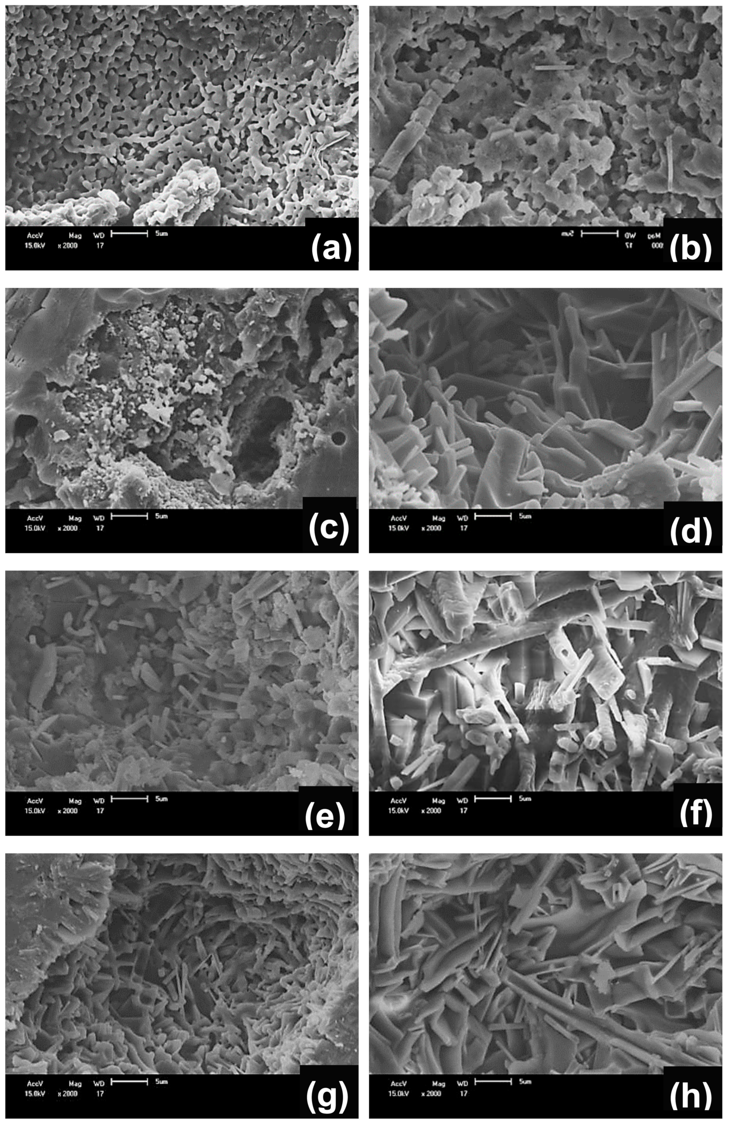 Materials 13 05122 g006