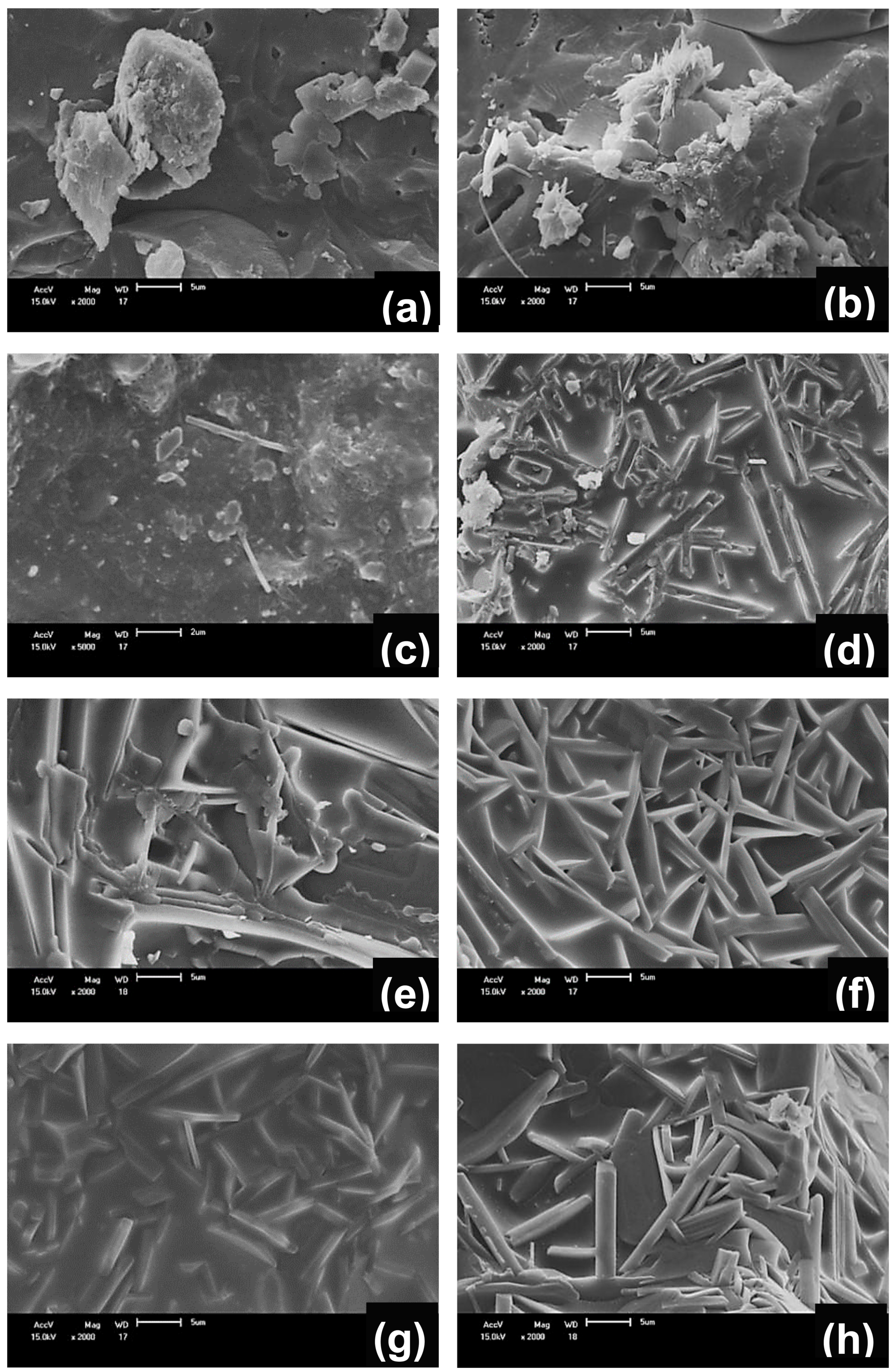 Materials 13 05122 g007