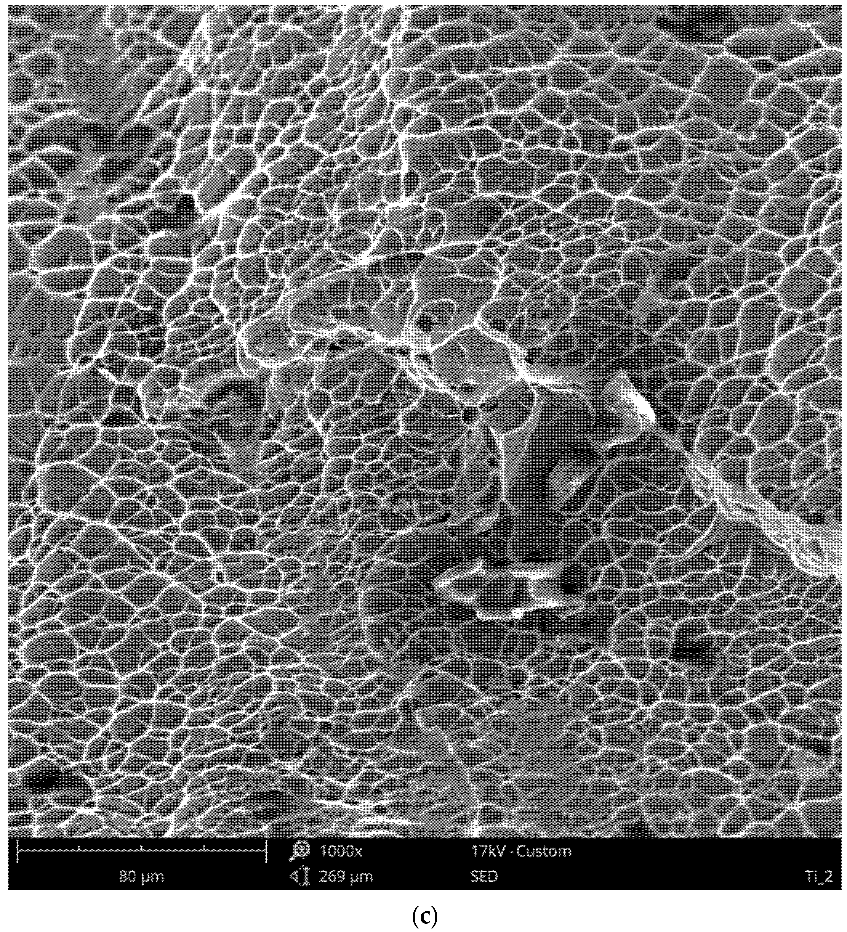 Materials 13 05128 g014b