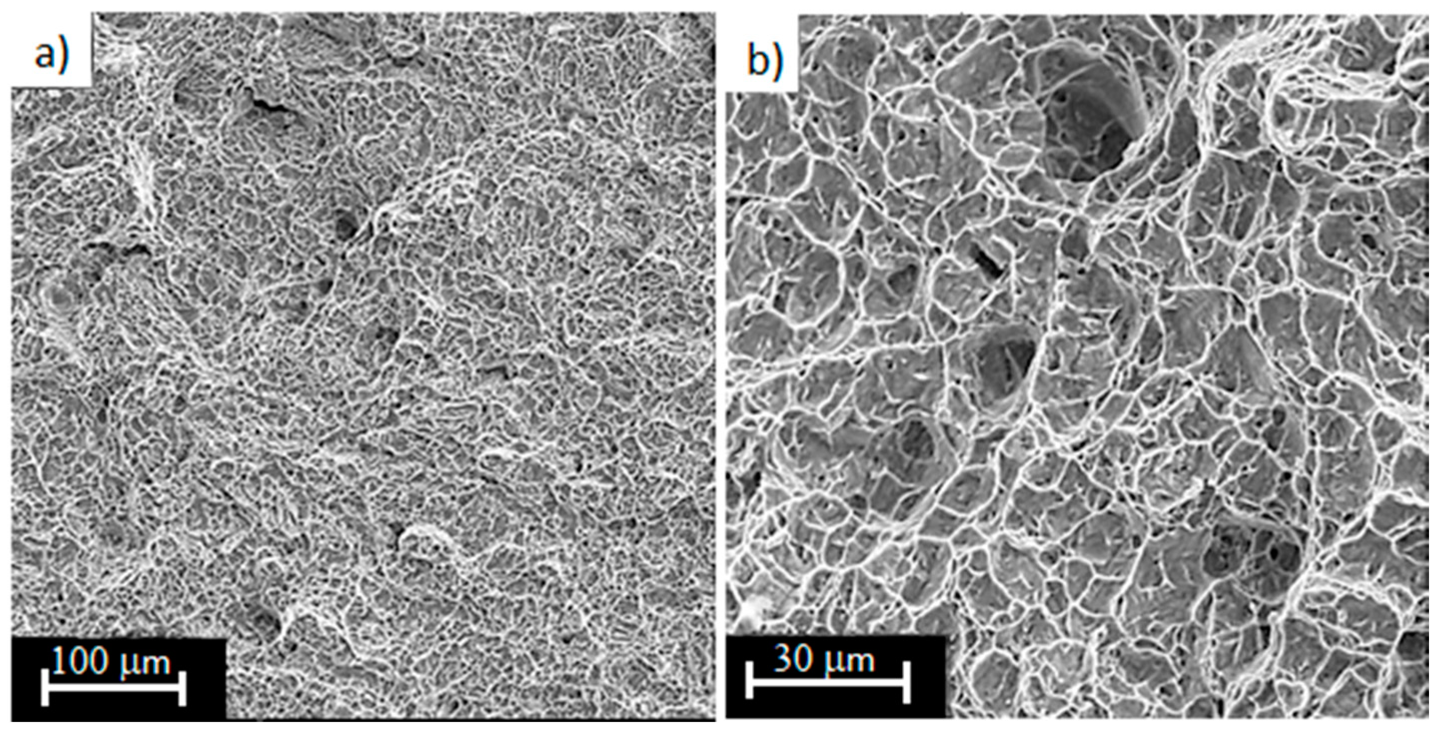 Materials 13 05138 g014