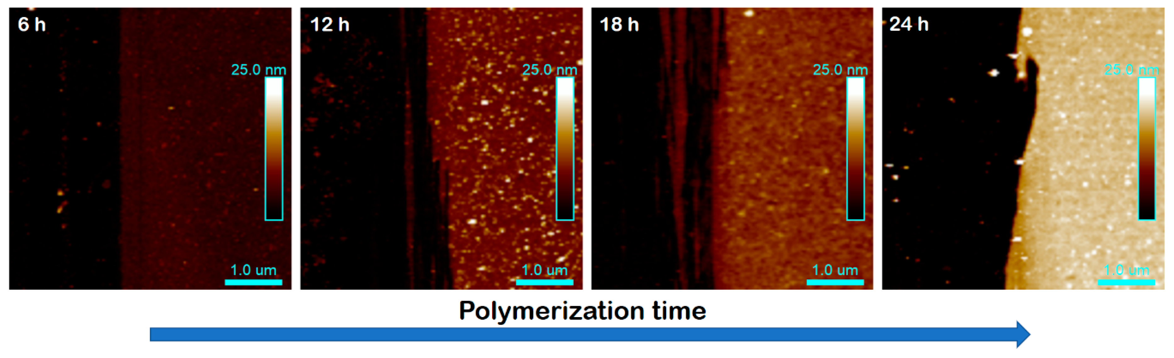 Materials 13 05139 g001 Materials 13 05139 g001