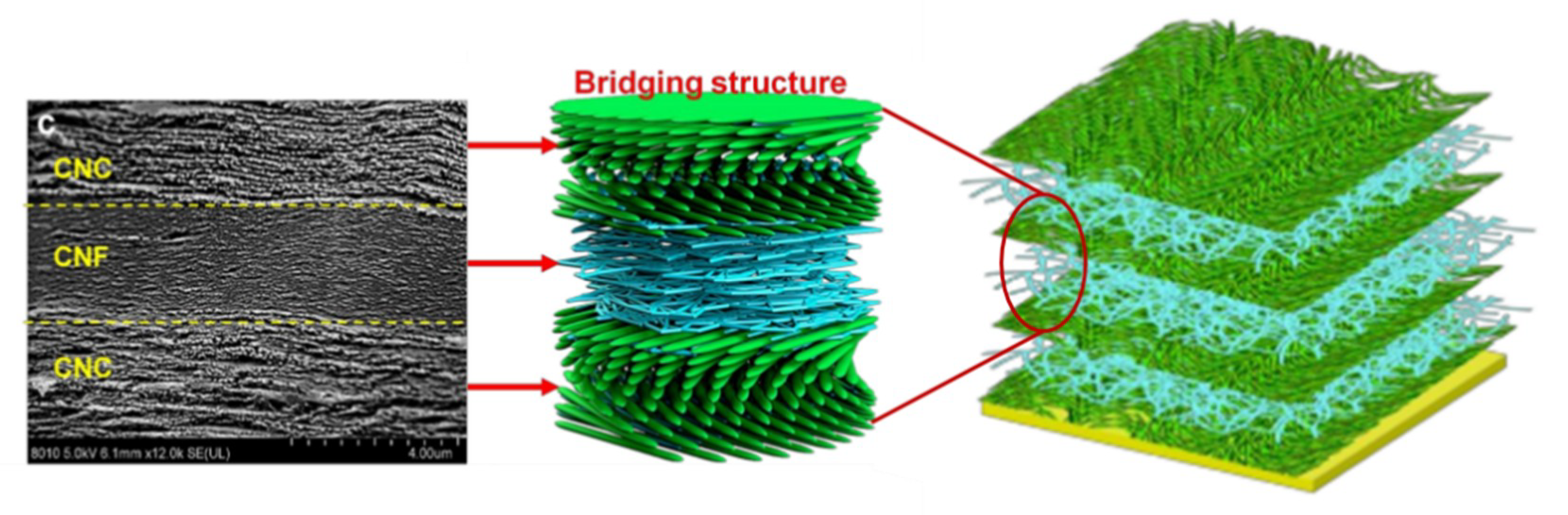 Materials 13 05145 g010