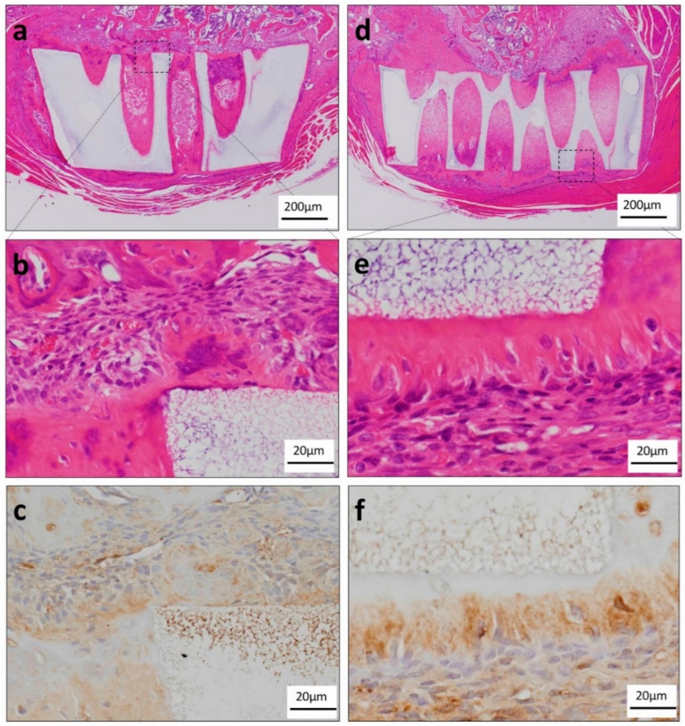 Materials 13 05155 g005
