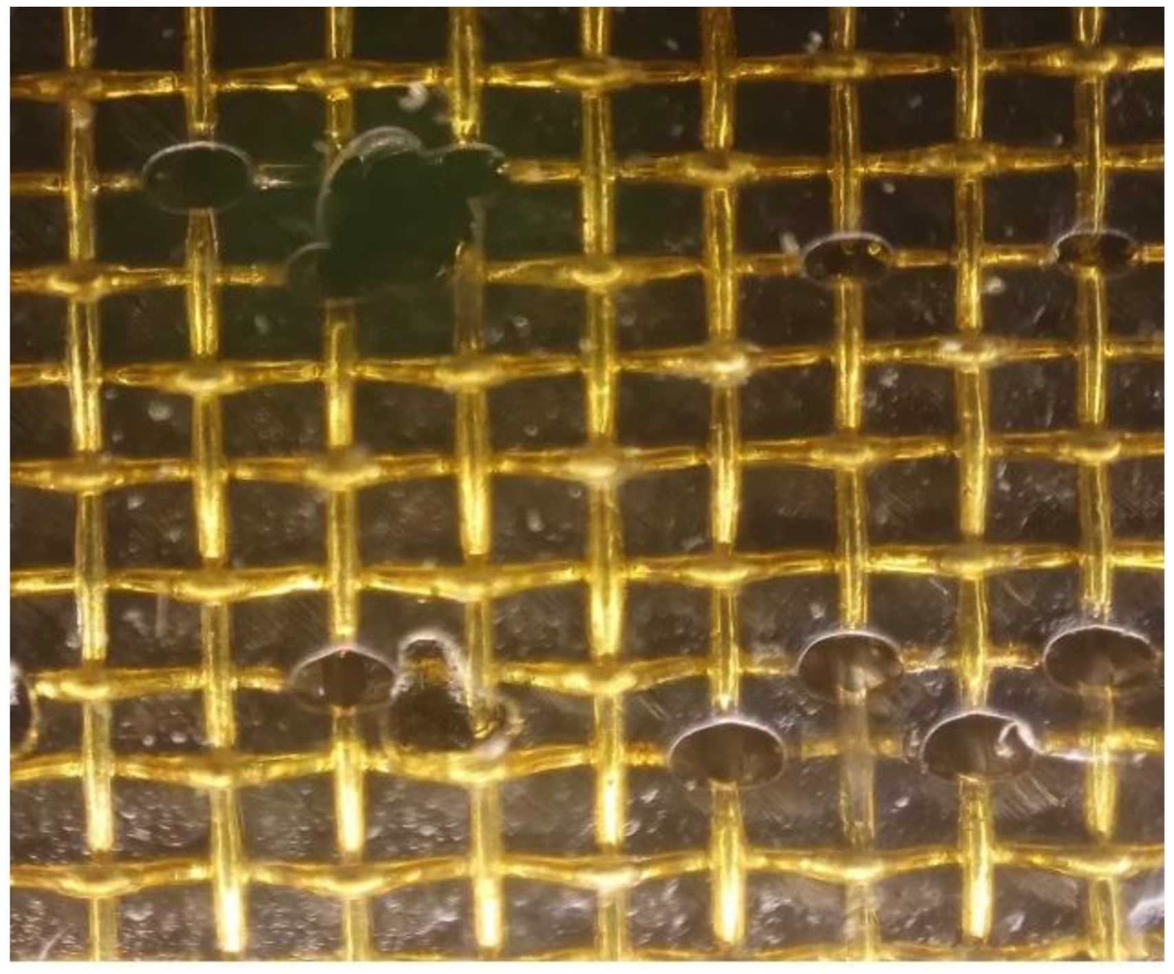 Materials 13 05159 g014