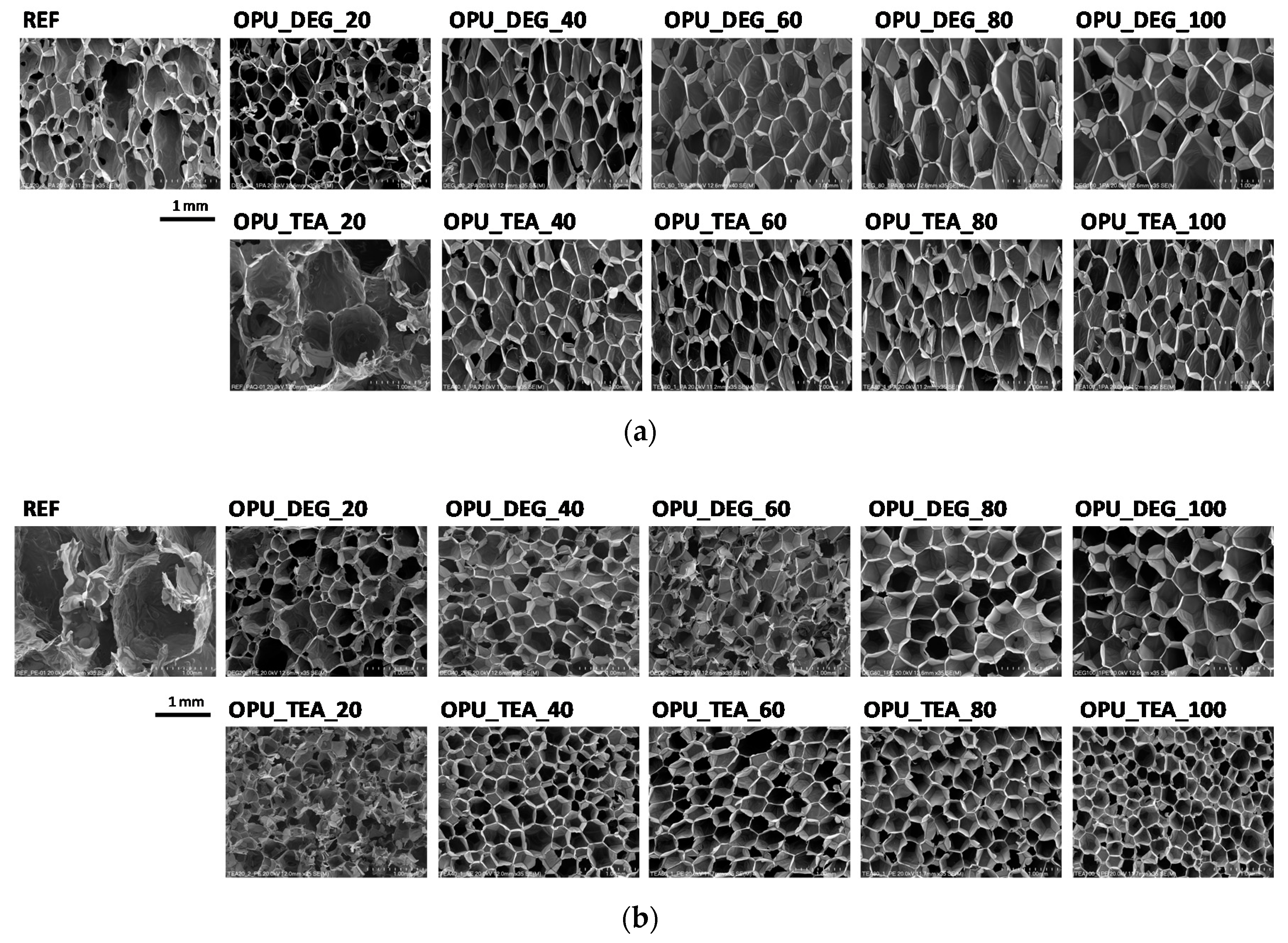 Materials 13 05161 g003