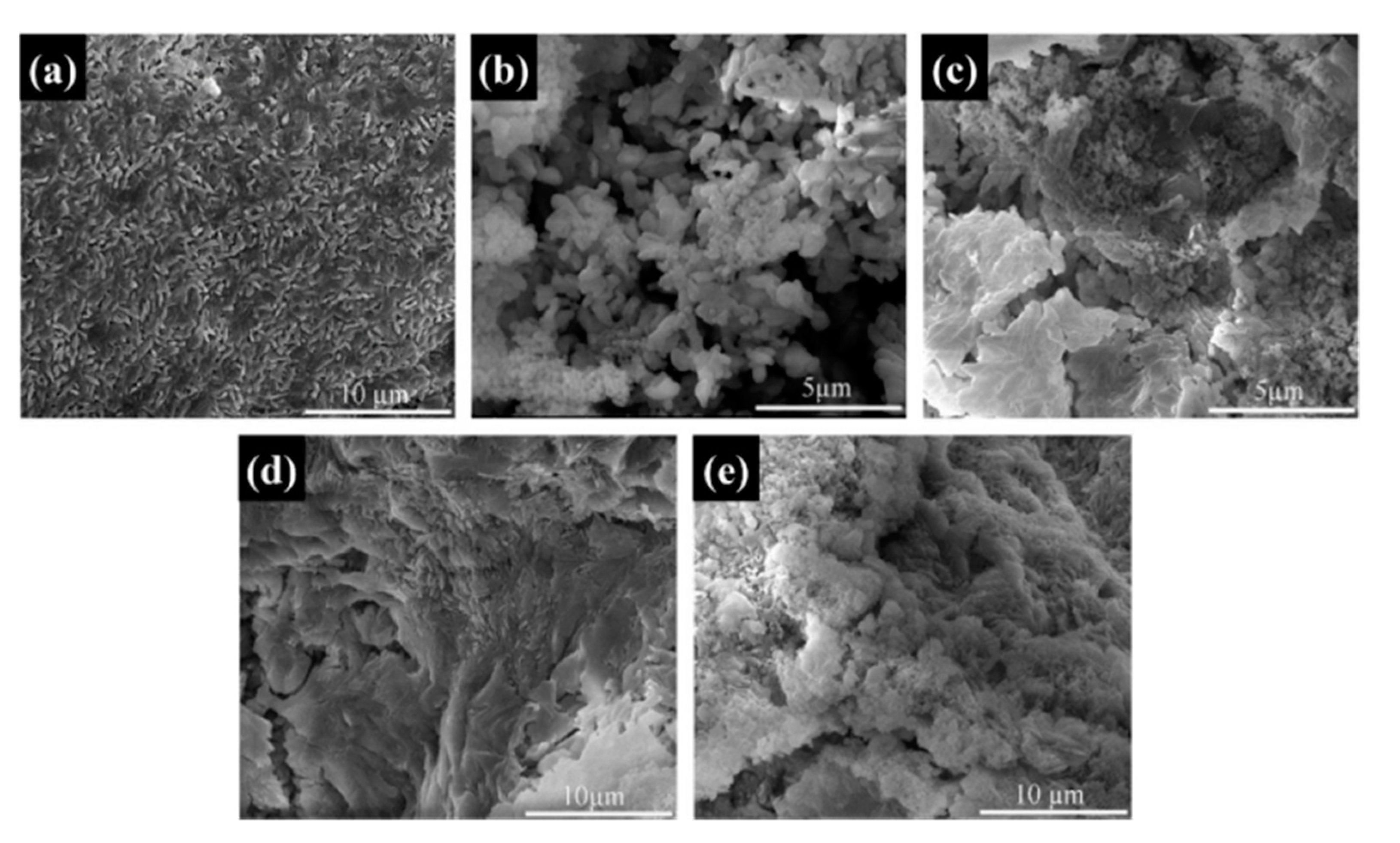Materials 13 05186 g007 Materials 13 05186 g007