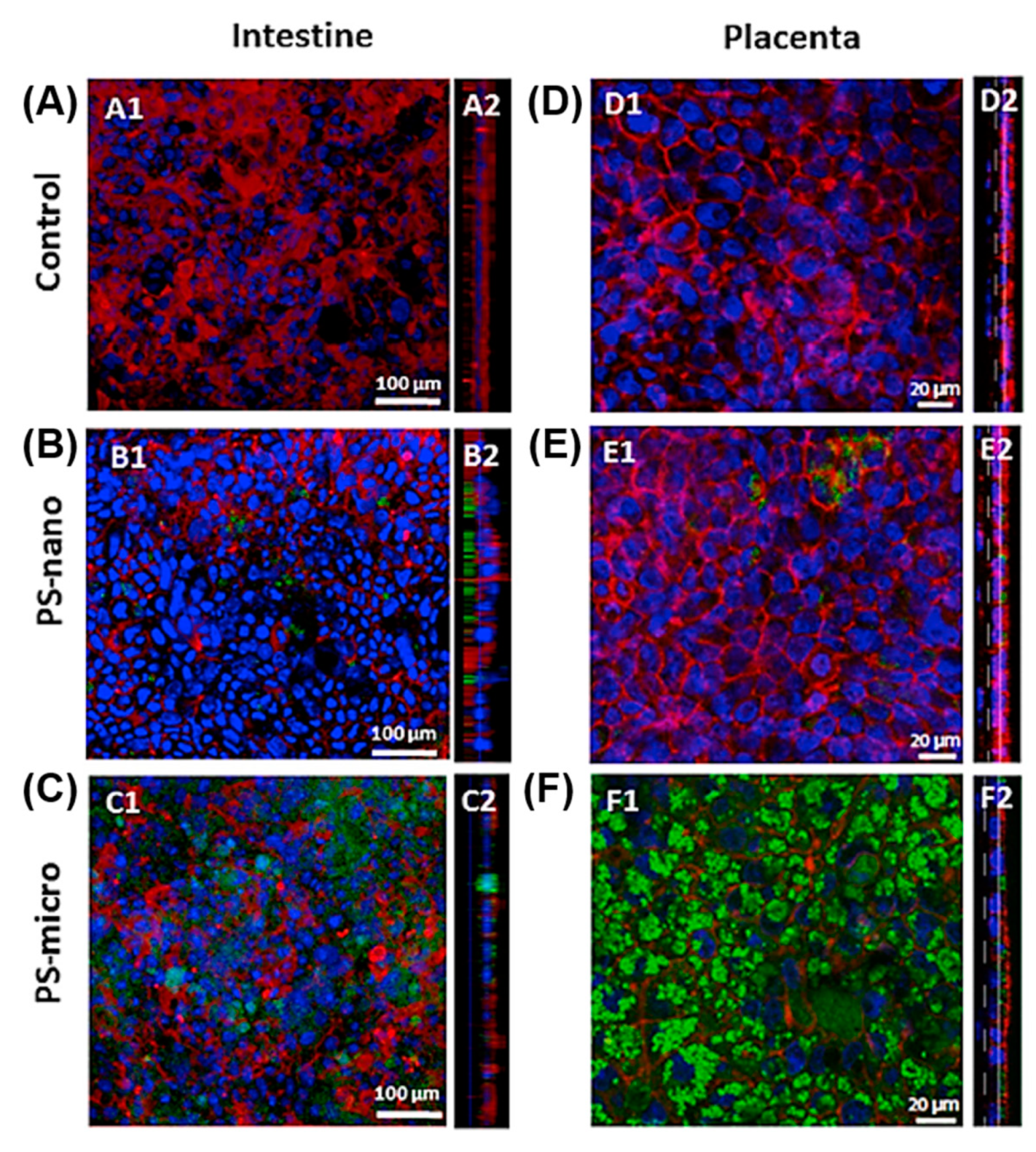 Materials 13 05196 g010