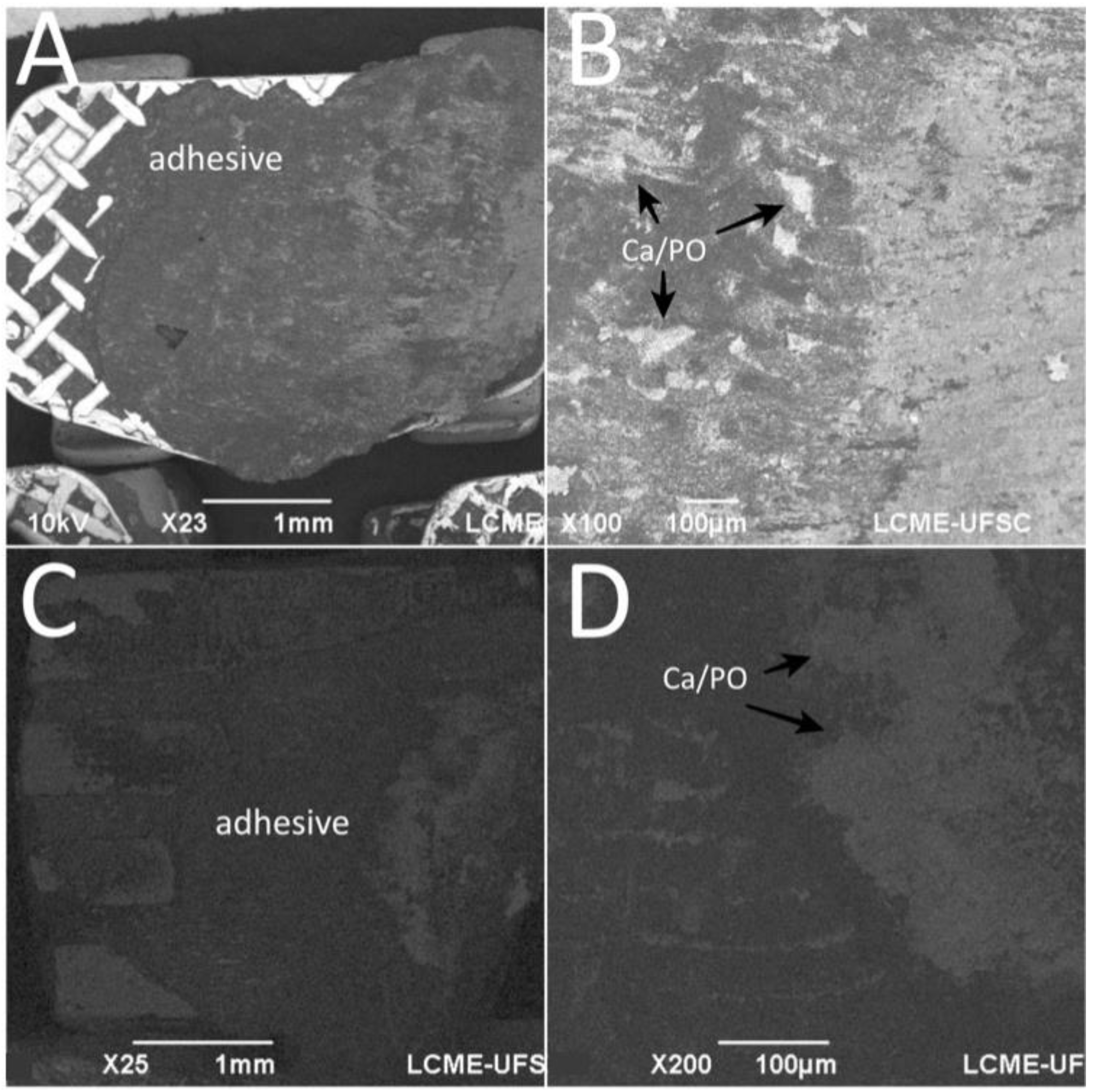 Materials 13 05197 g006 Materials 13 05197 g006