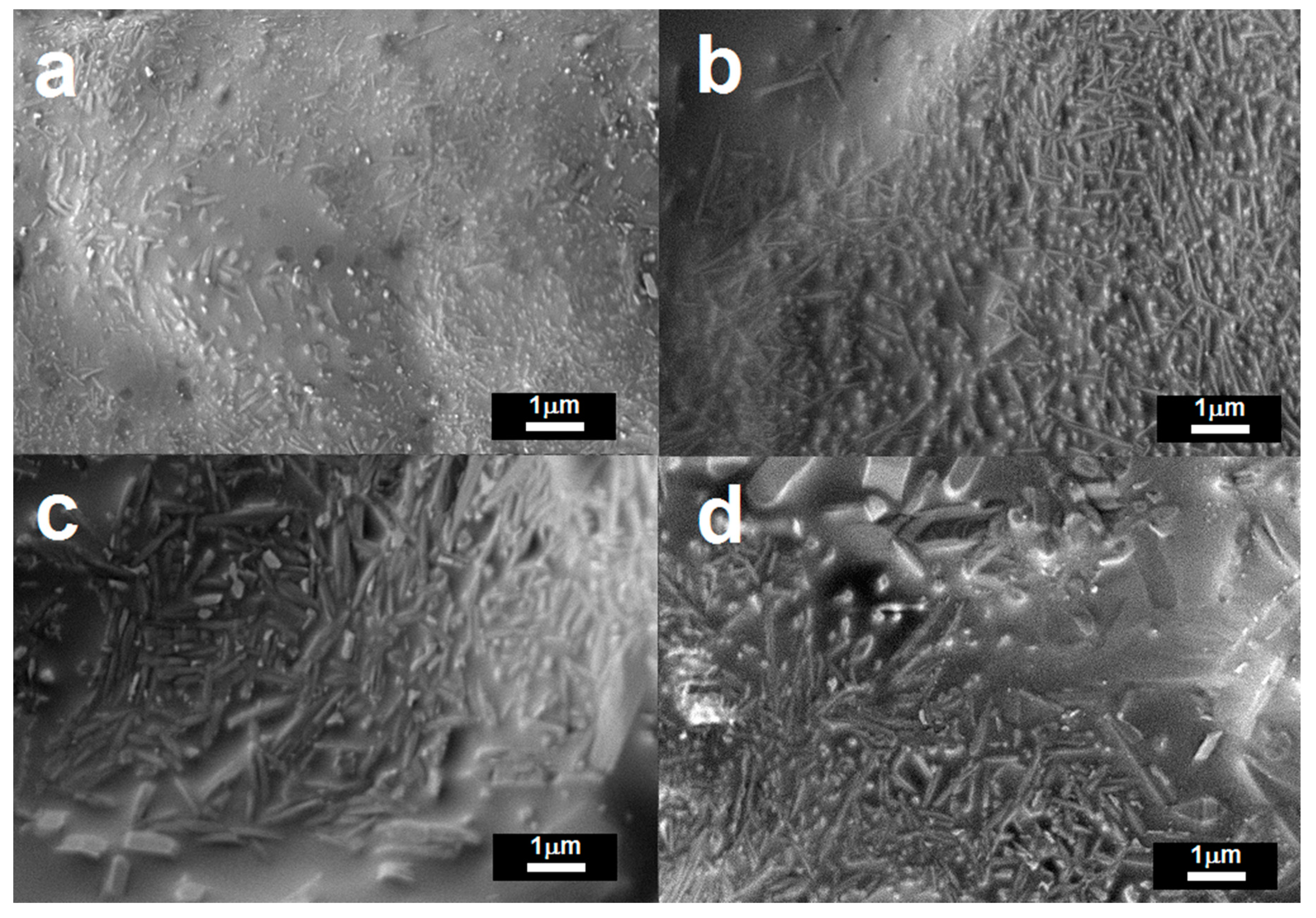 Materials 13 05218 g005