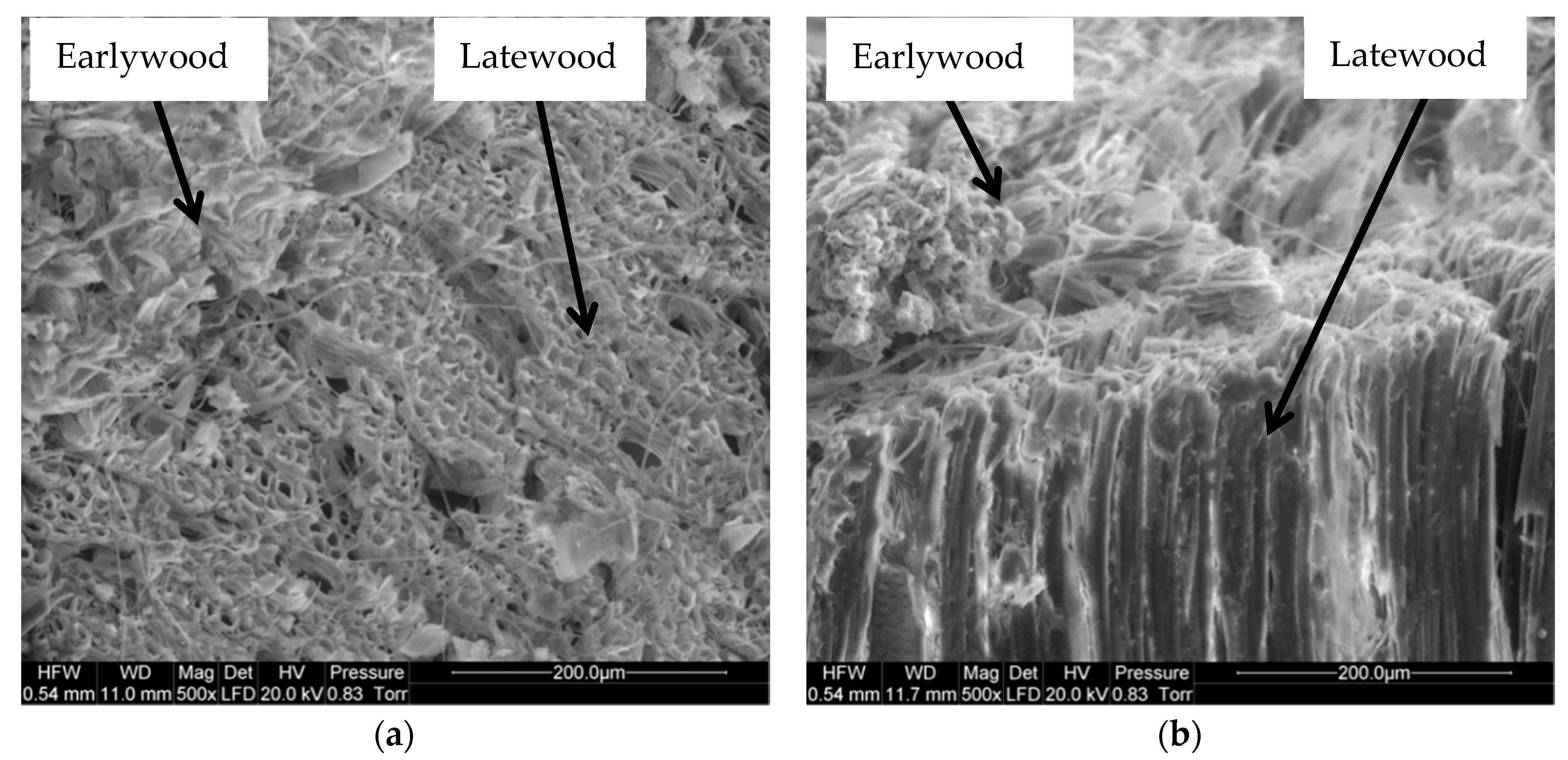 Materials 13 05222 g004