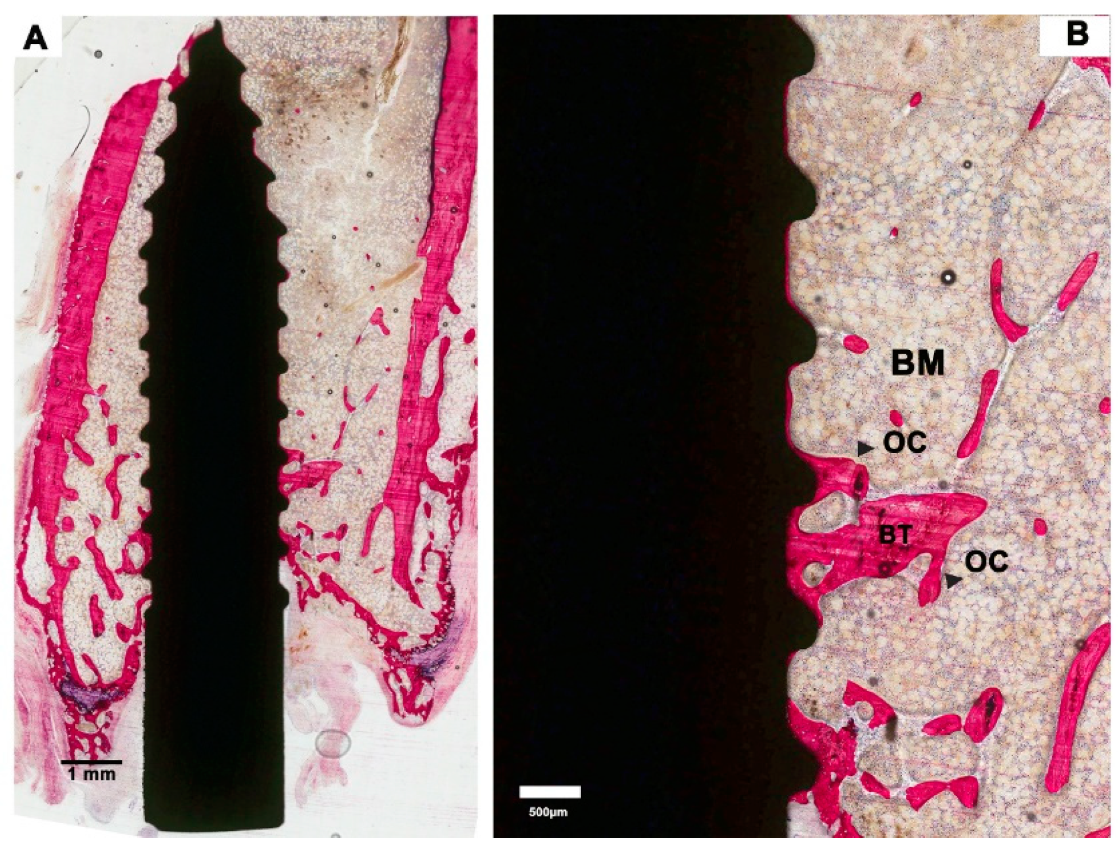 Materials 13 05248 g002