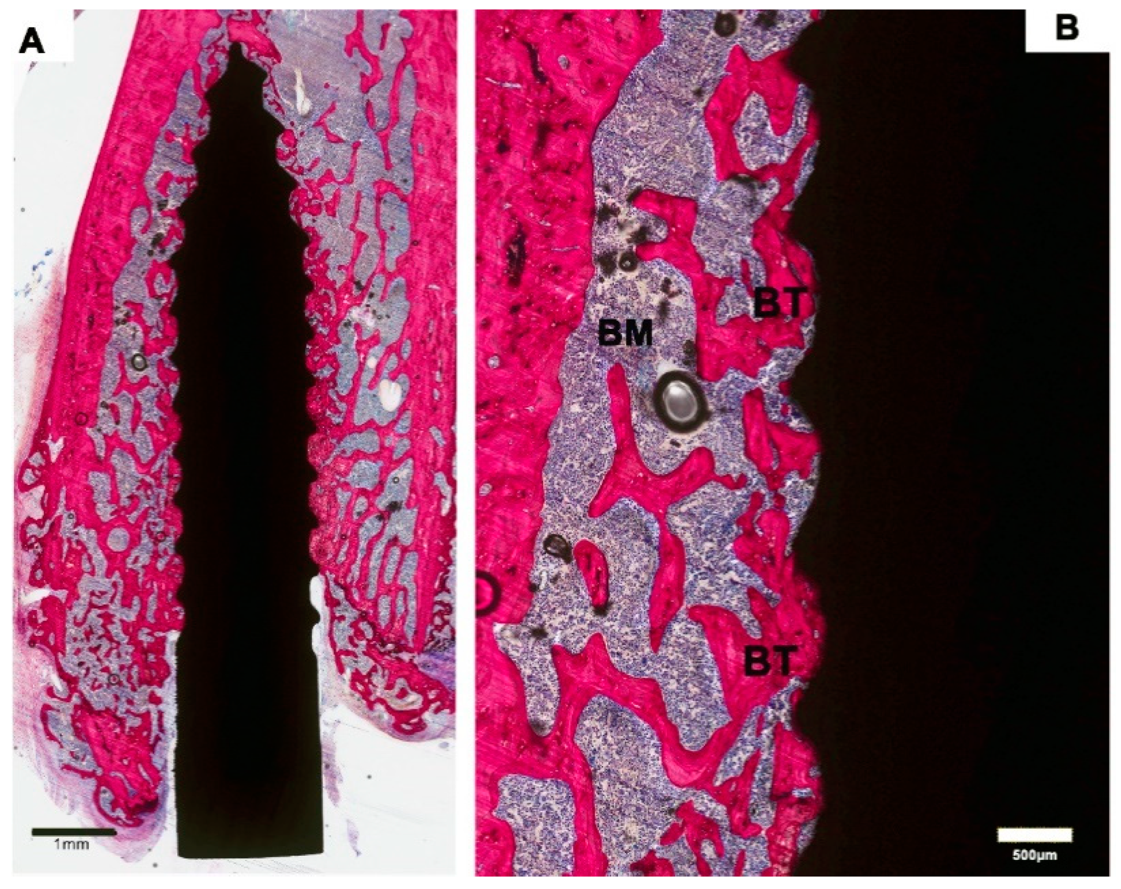 Materials 13 05248 g003