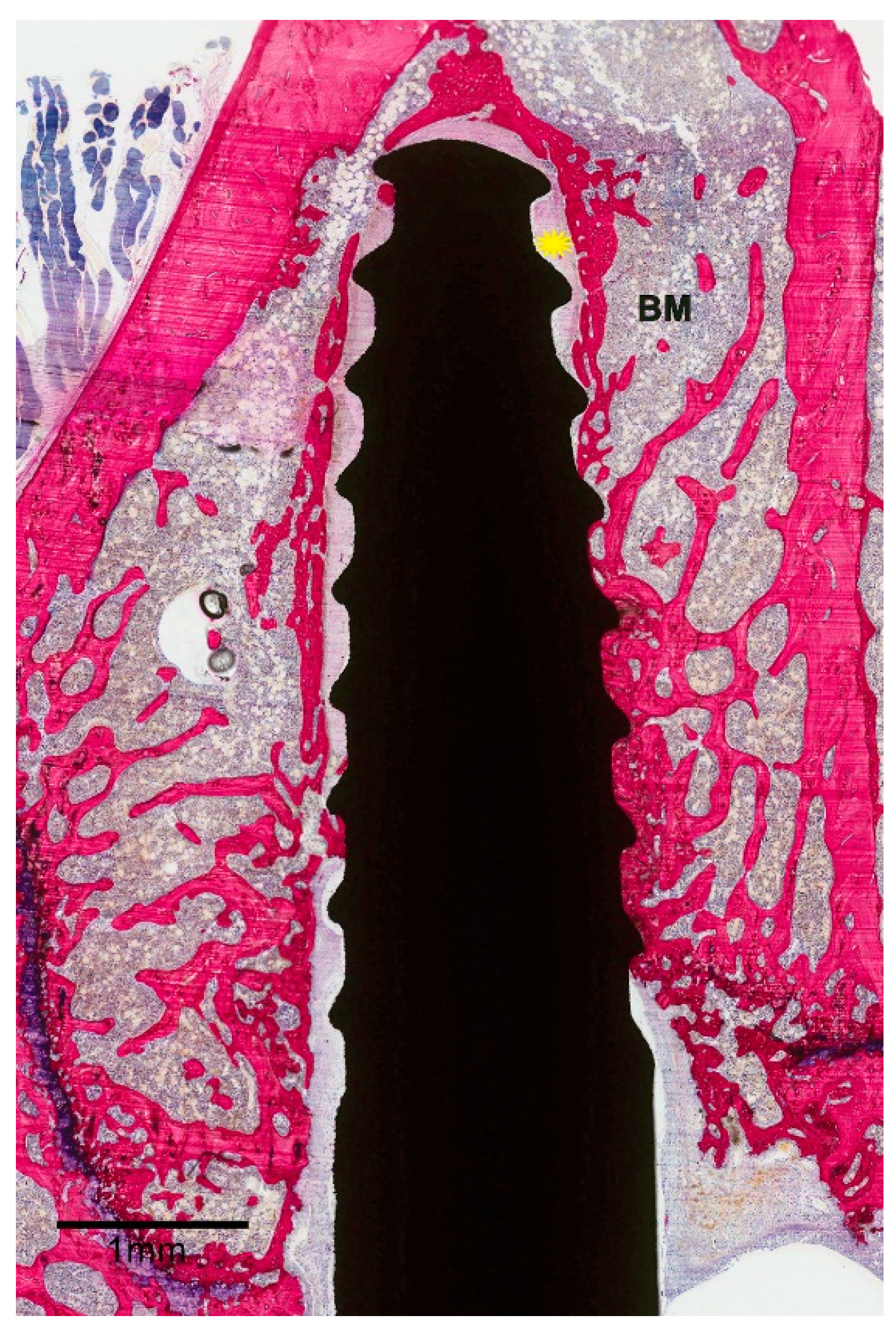 Materials 13 05248 g004