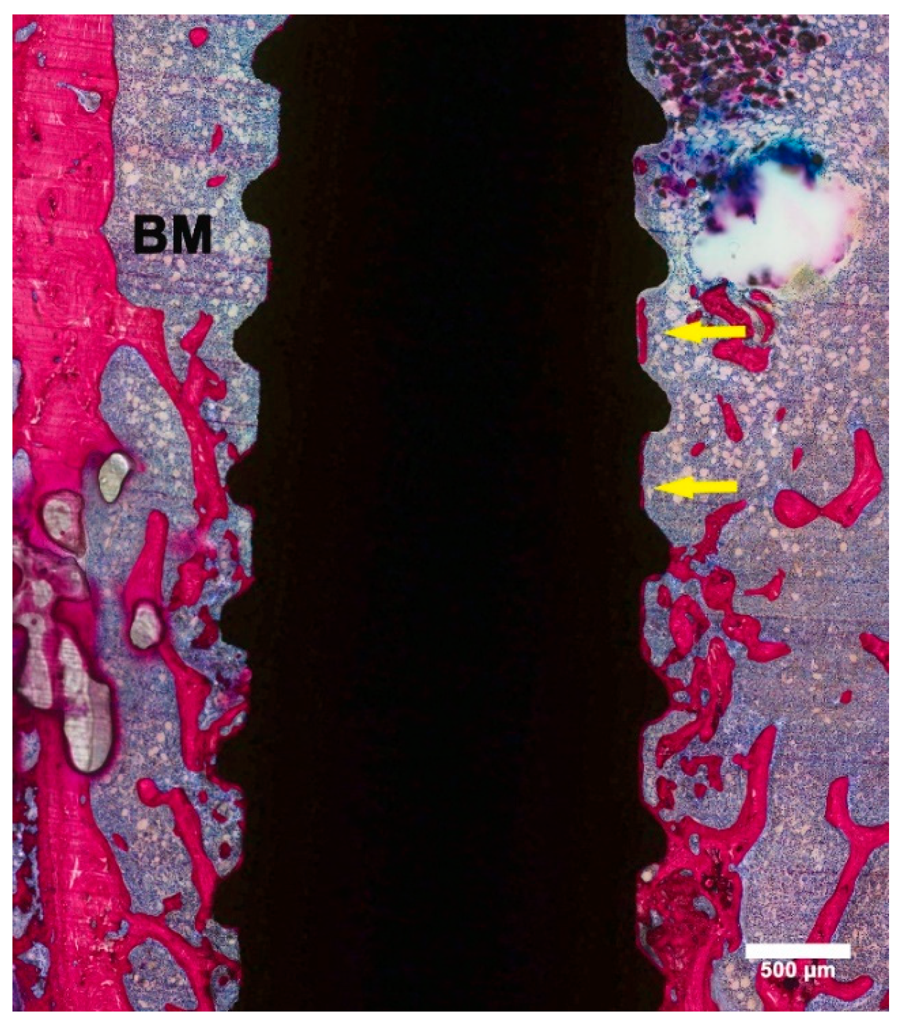 Materials 13 05248 g005