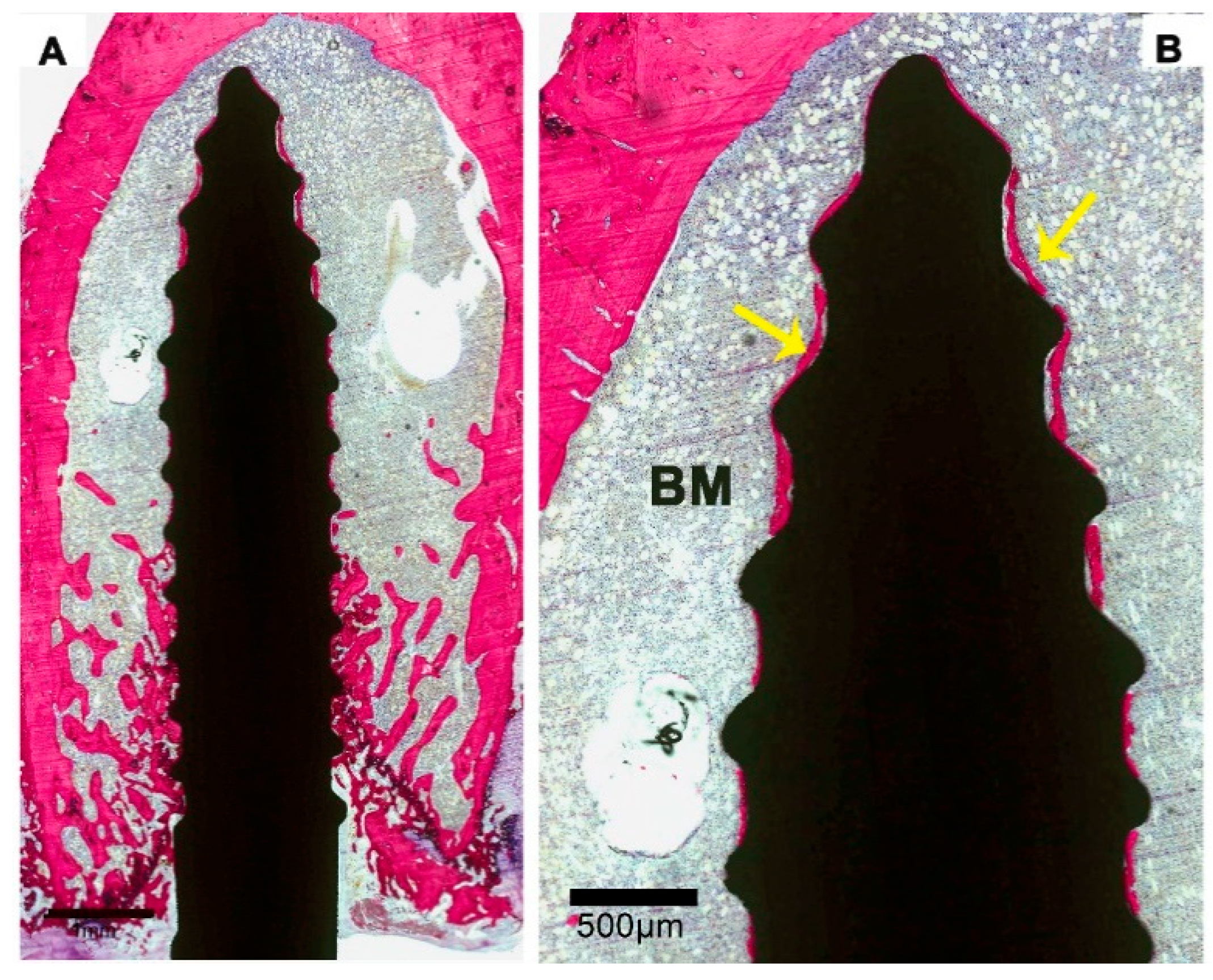 Materials 13 05248 g006