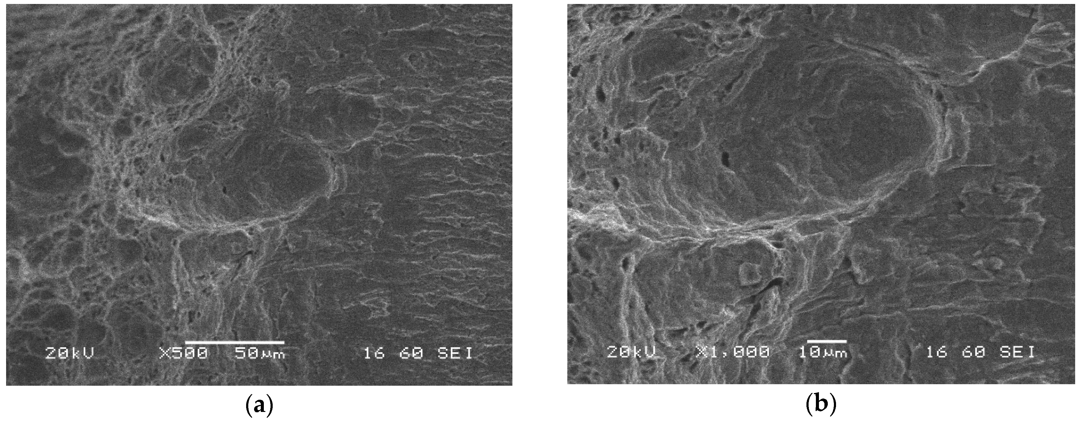 Materials 13 05249 g019 Materials 13 05249 g019