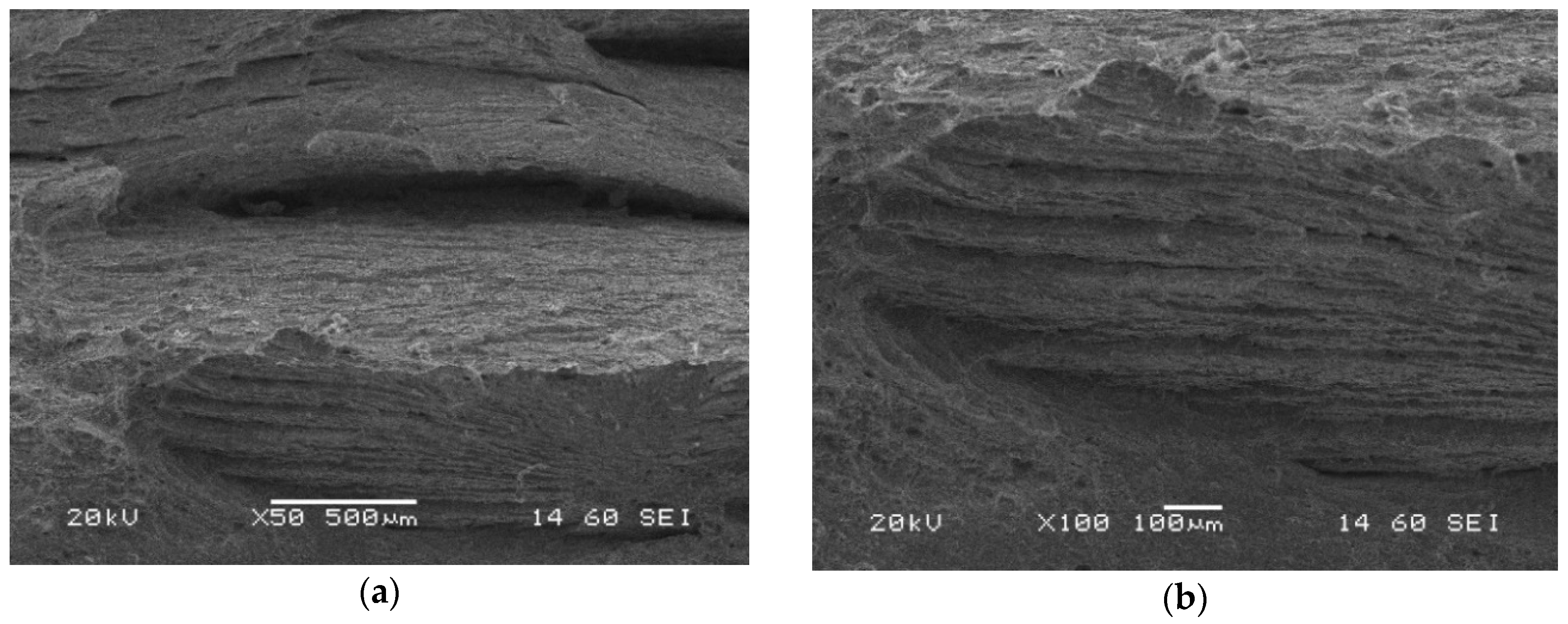 Materials 13 05249 g020 Materials 13 05249 g020